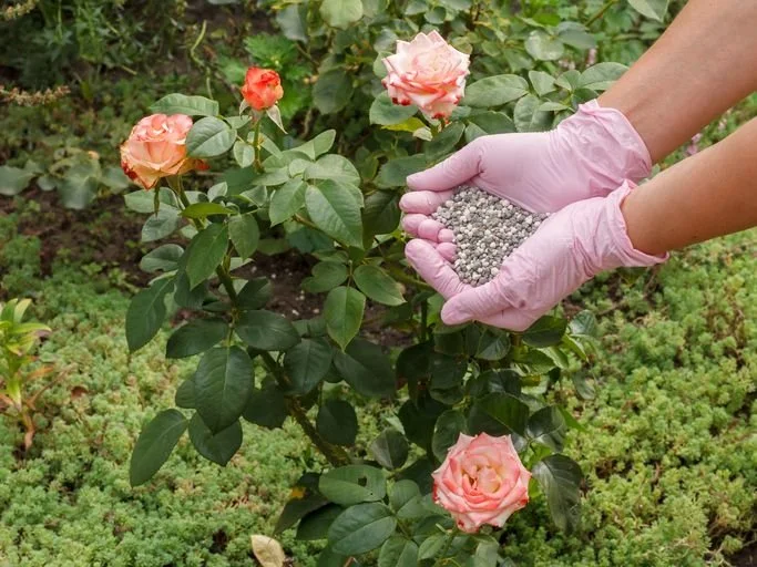 Fertilising