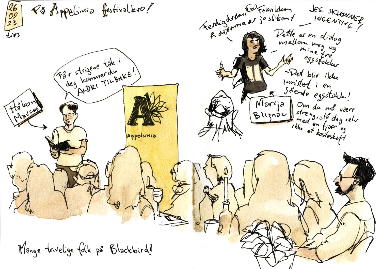 Appelsinia festivalkro 1.jpeg