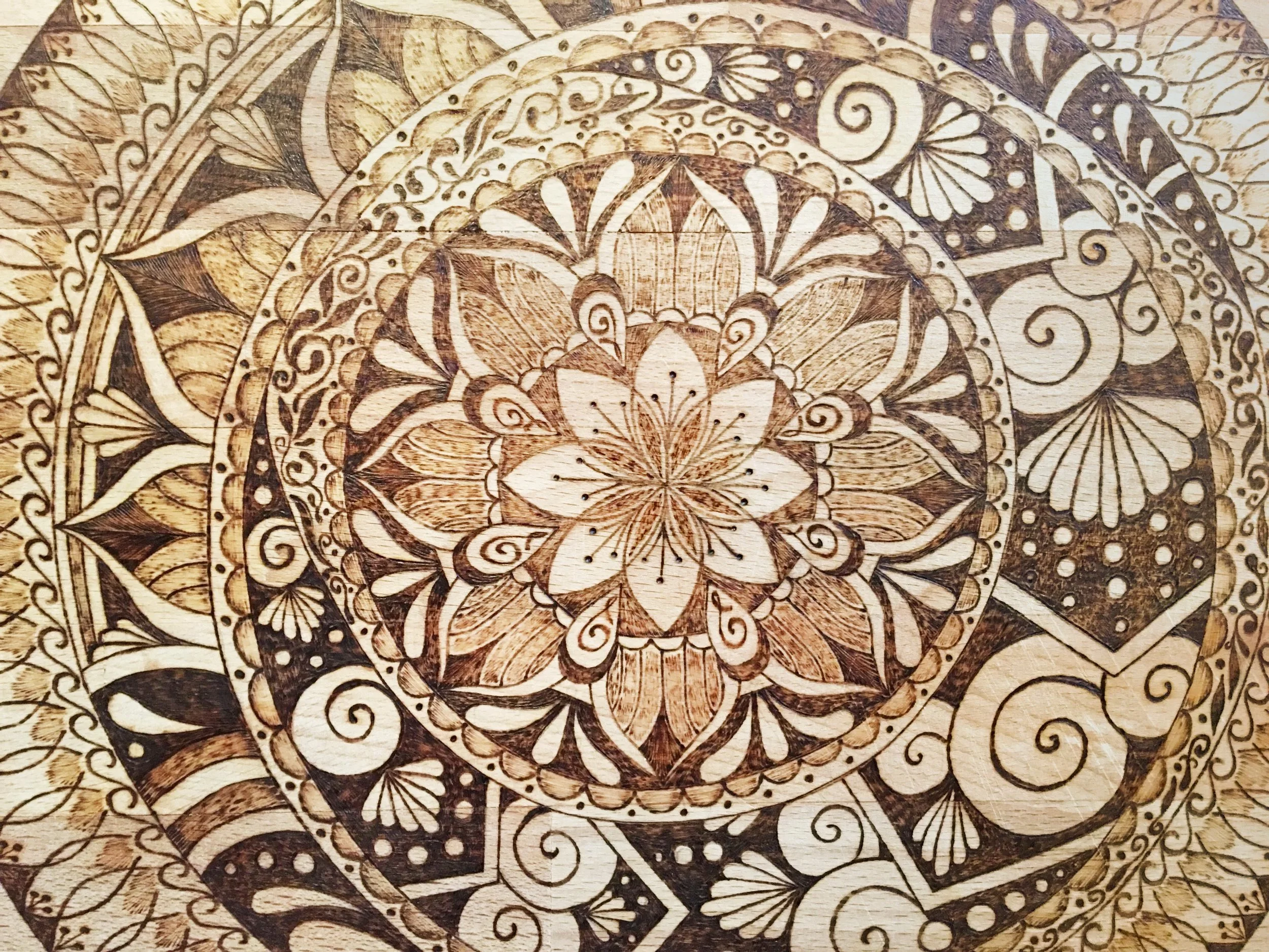 1000025335 copy.jpg