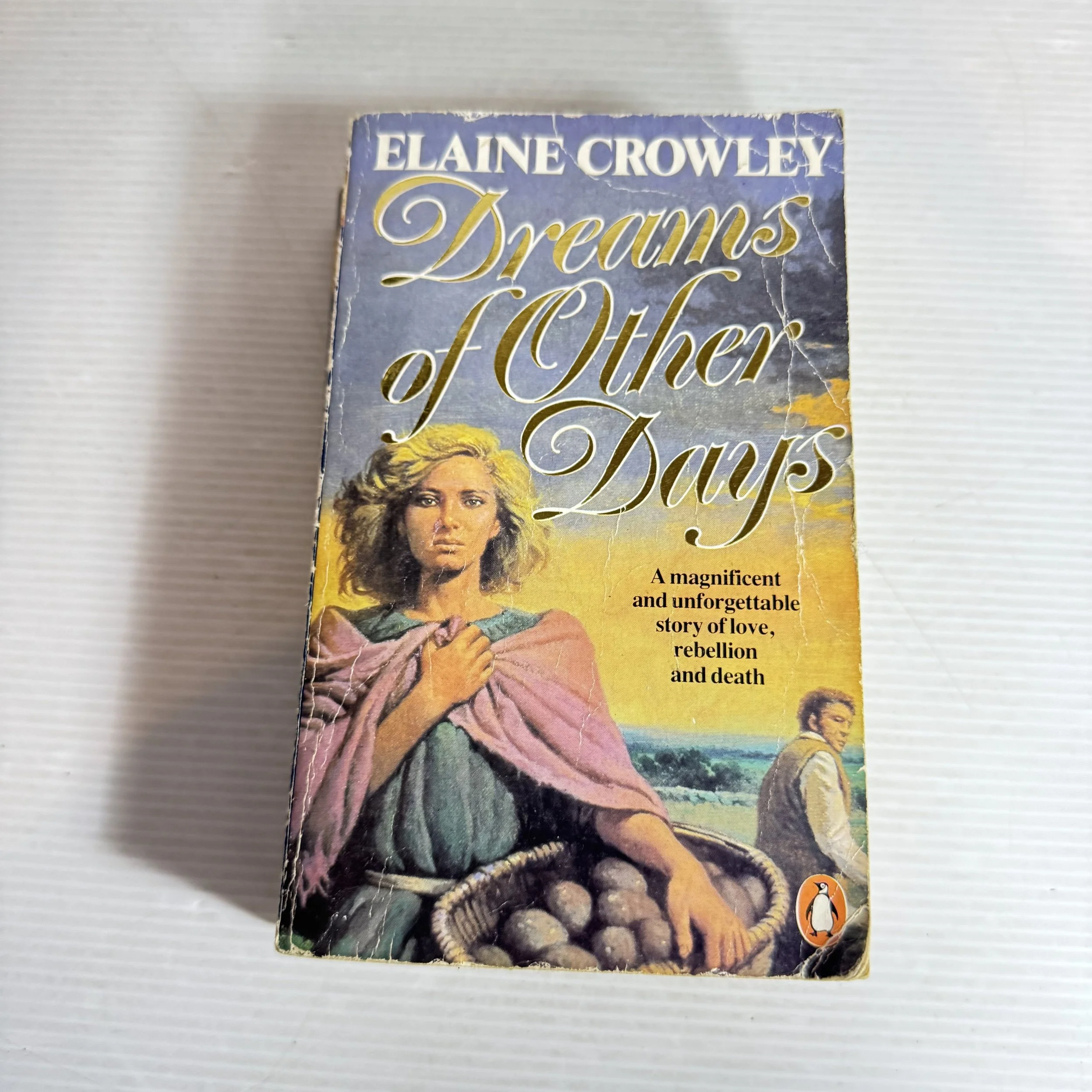 Dreams of Other Days - Elaine Crowley