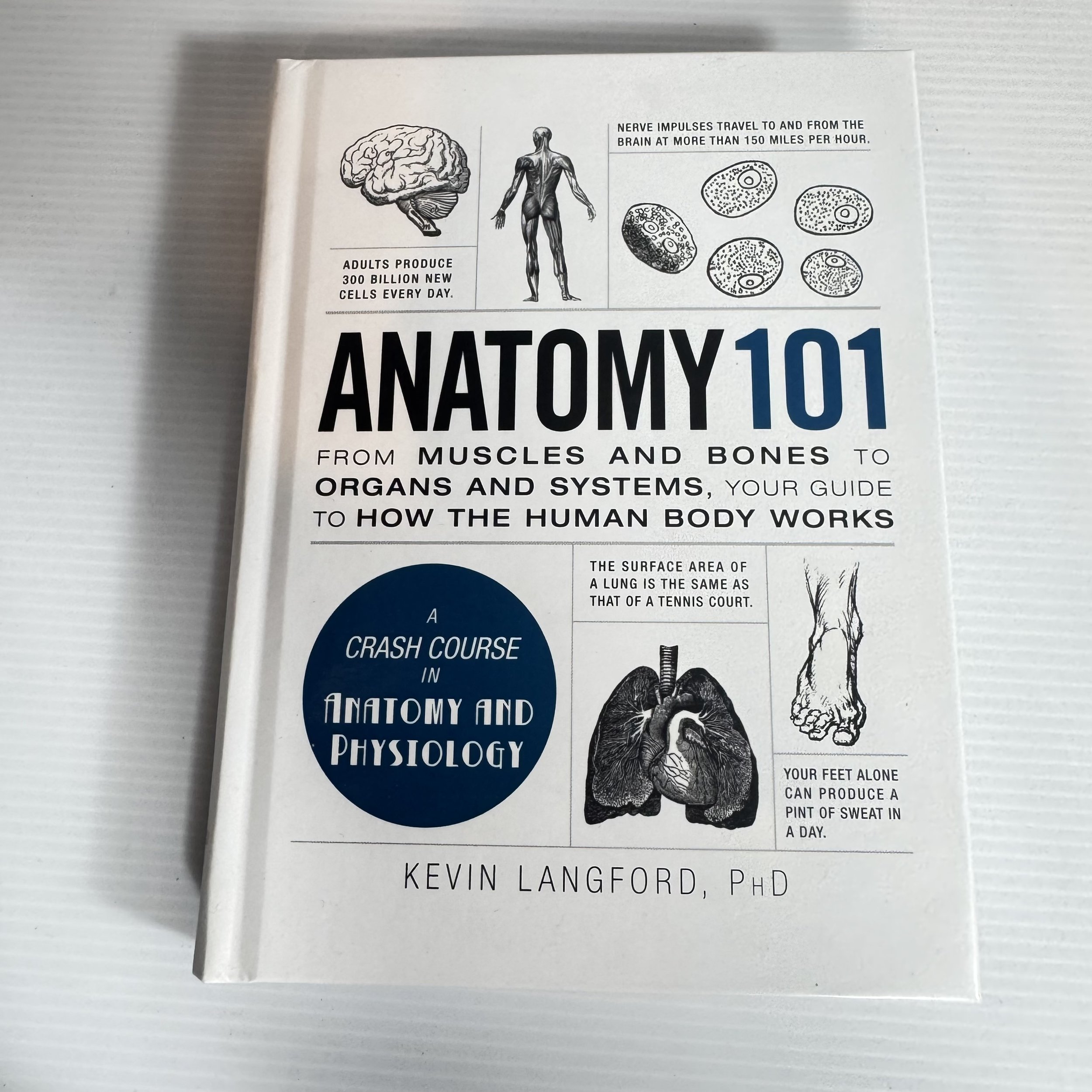 Anatomy 101 : A Crash Course in Anatomy and Physiology - Kevin Langford