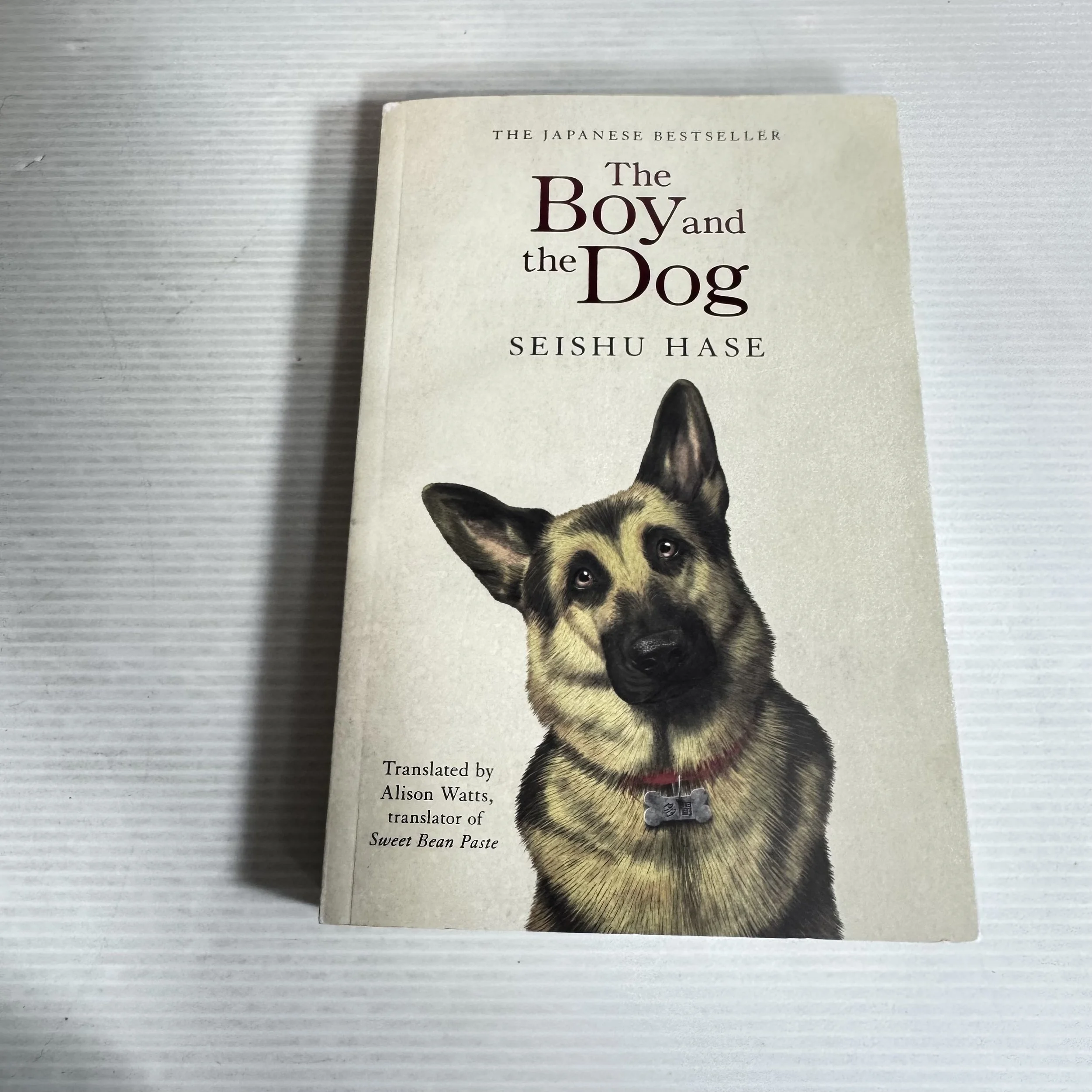 The Boy and the Dog - Seishu Hase