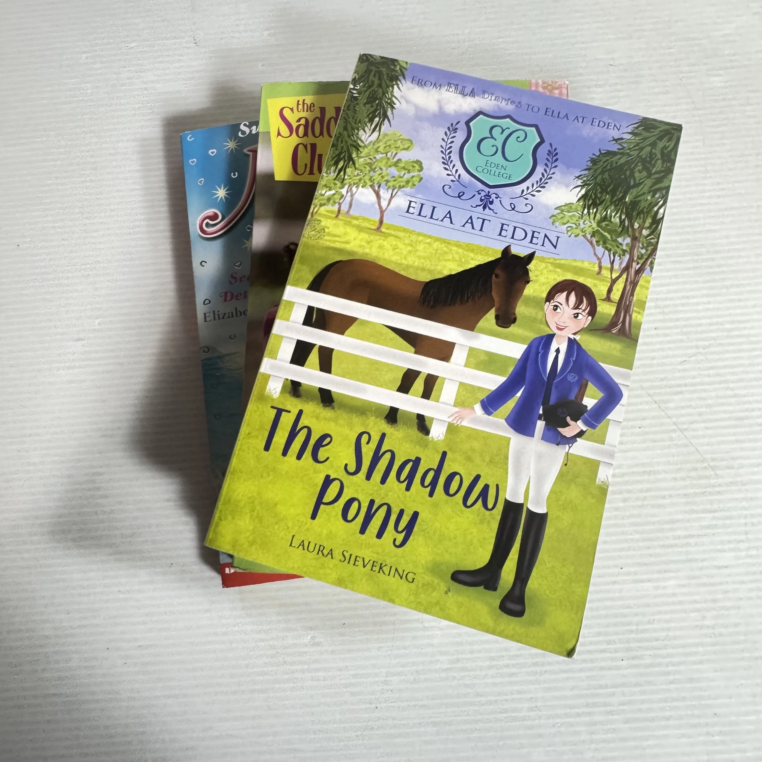 Children's Pony Book Bundle x 3 Books (356)