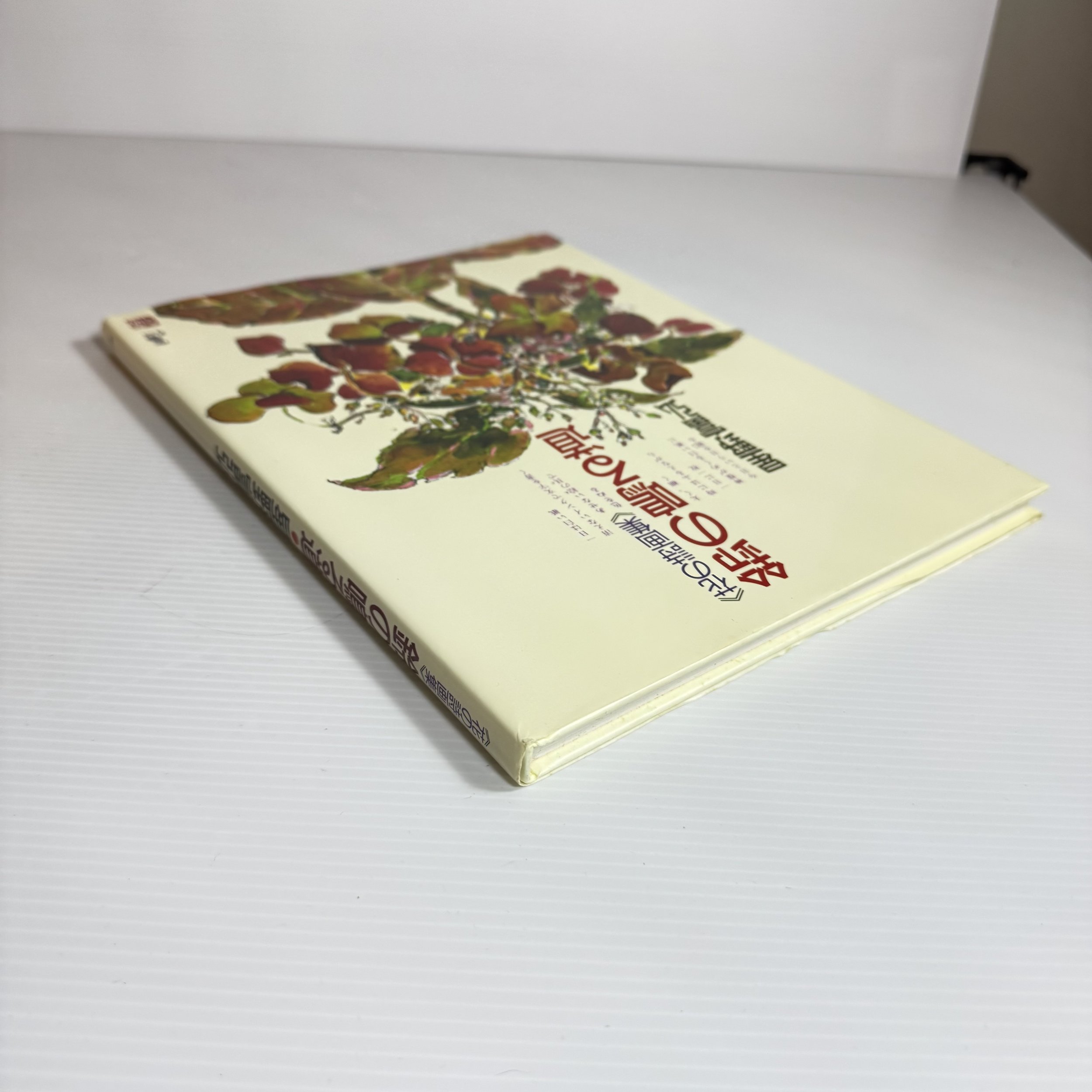 IMG_7254.jpeg