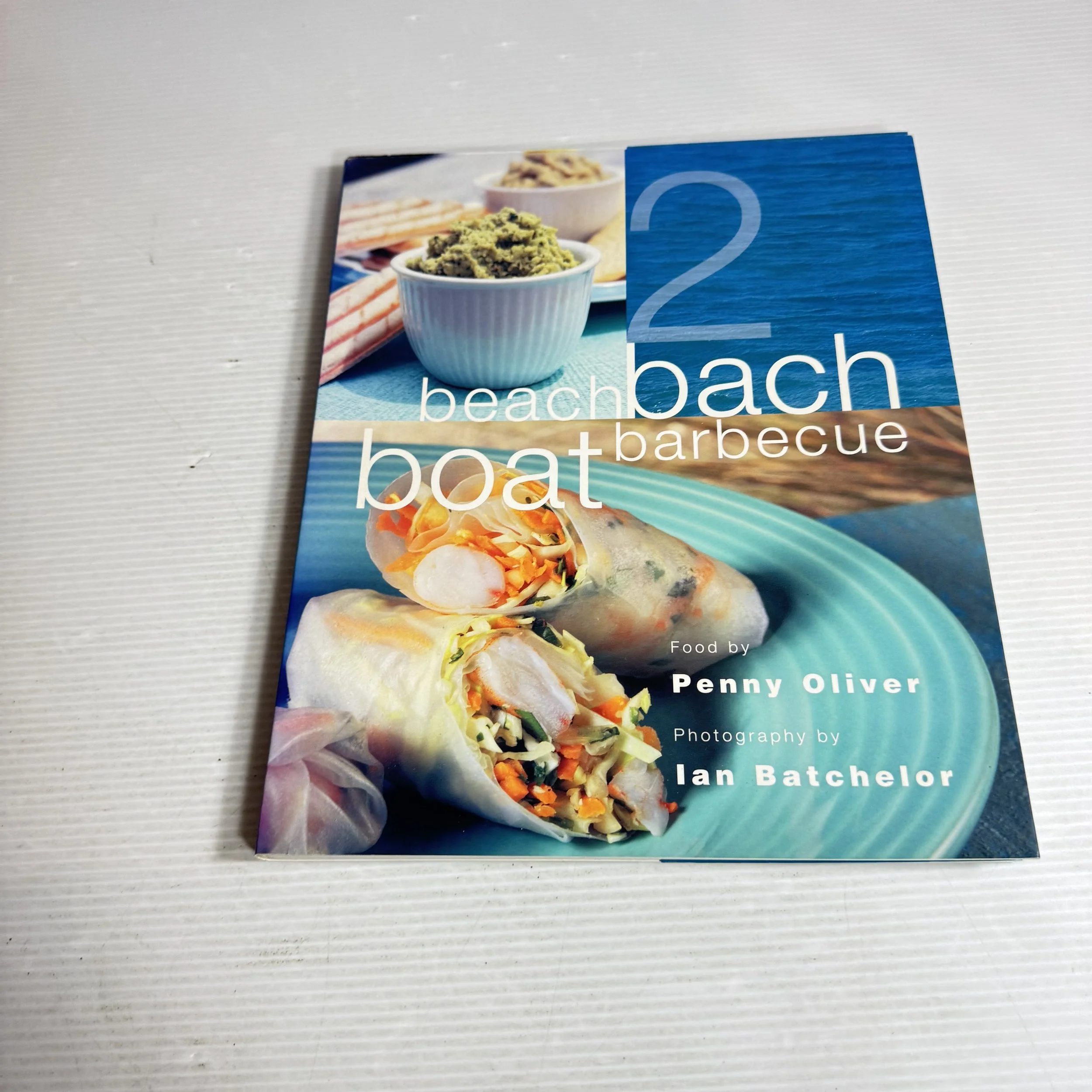 Beach Bach Barbecue Boat 2 - Penny Oliver