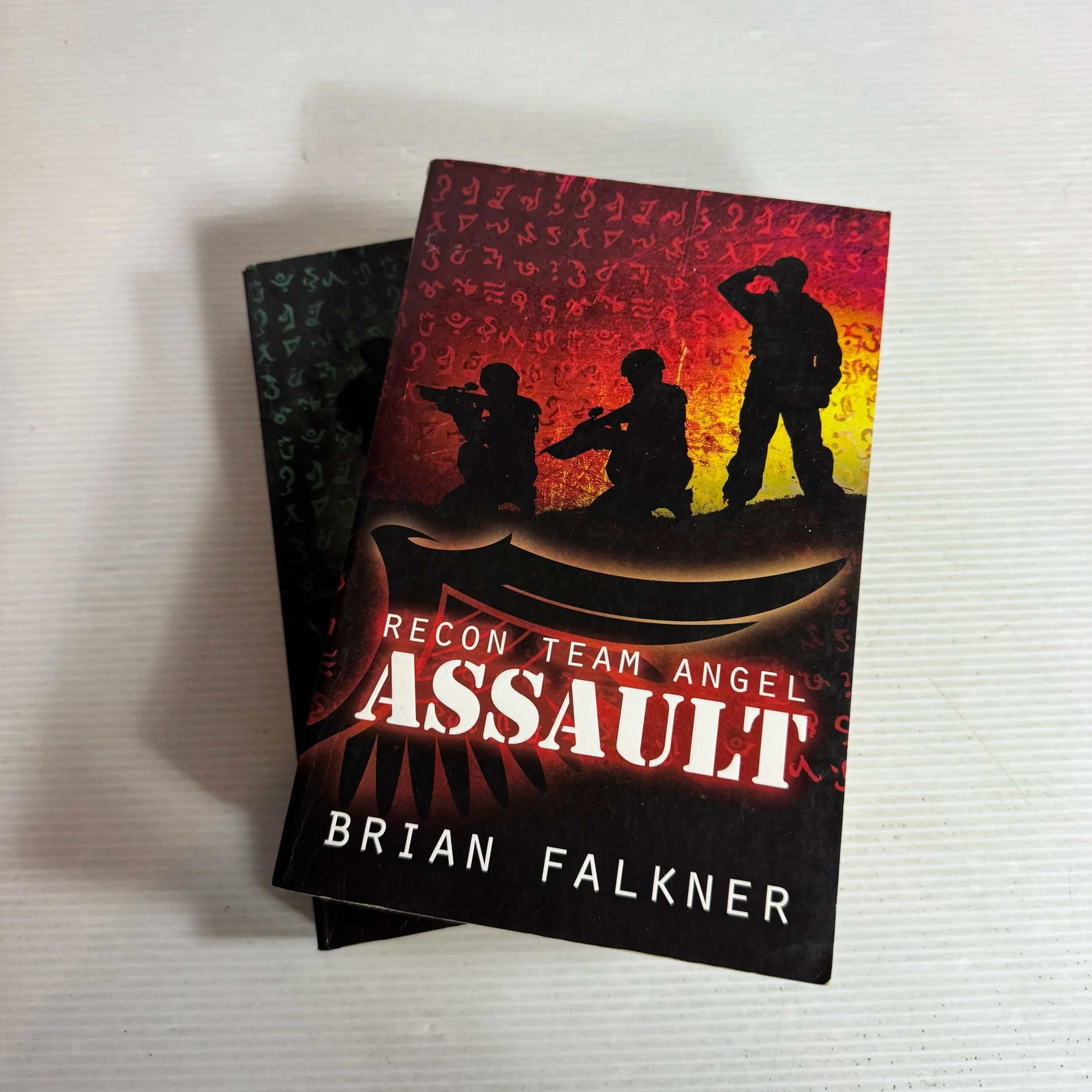 Recon Team Angel Book 1 & 2 - Brain Falkner Book Bundle x 2