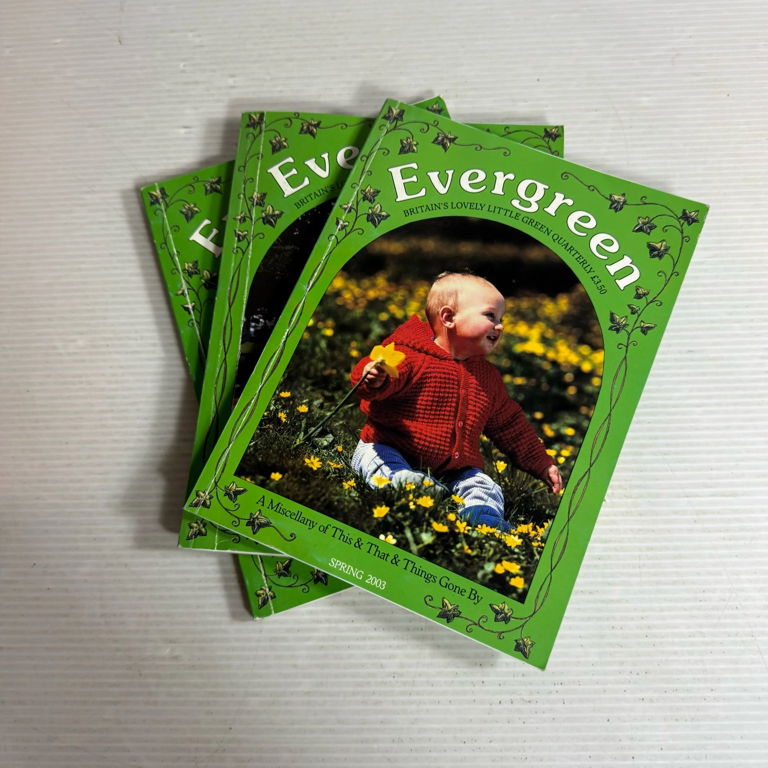 Evergreen Book Bundle x3 vol 19 no.1-3 Spring, Summer & Autumn 2003 (404)