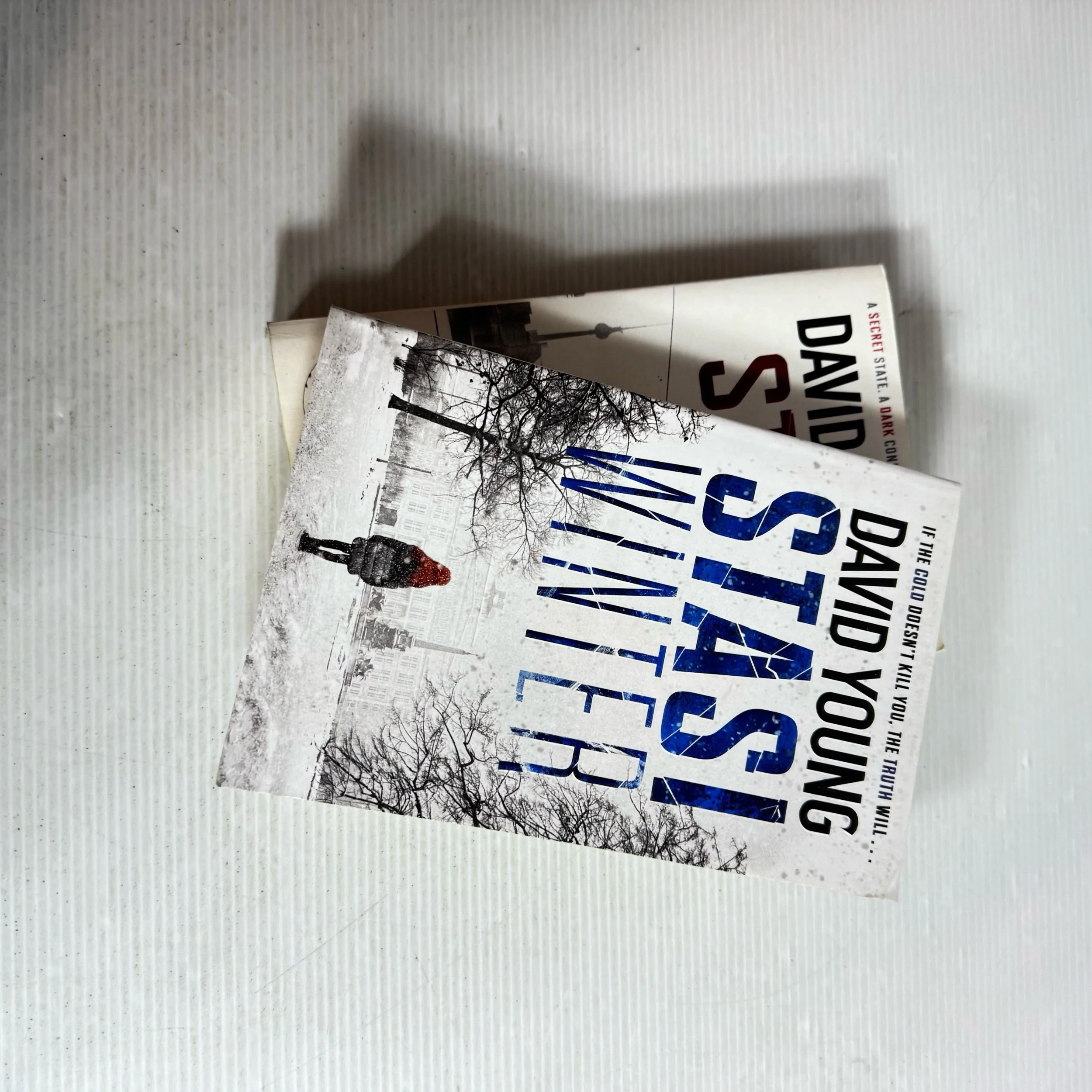 David Young Book Bundle x 2 Stasi Winter & Stasi 77  (352)