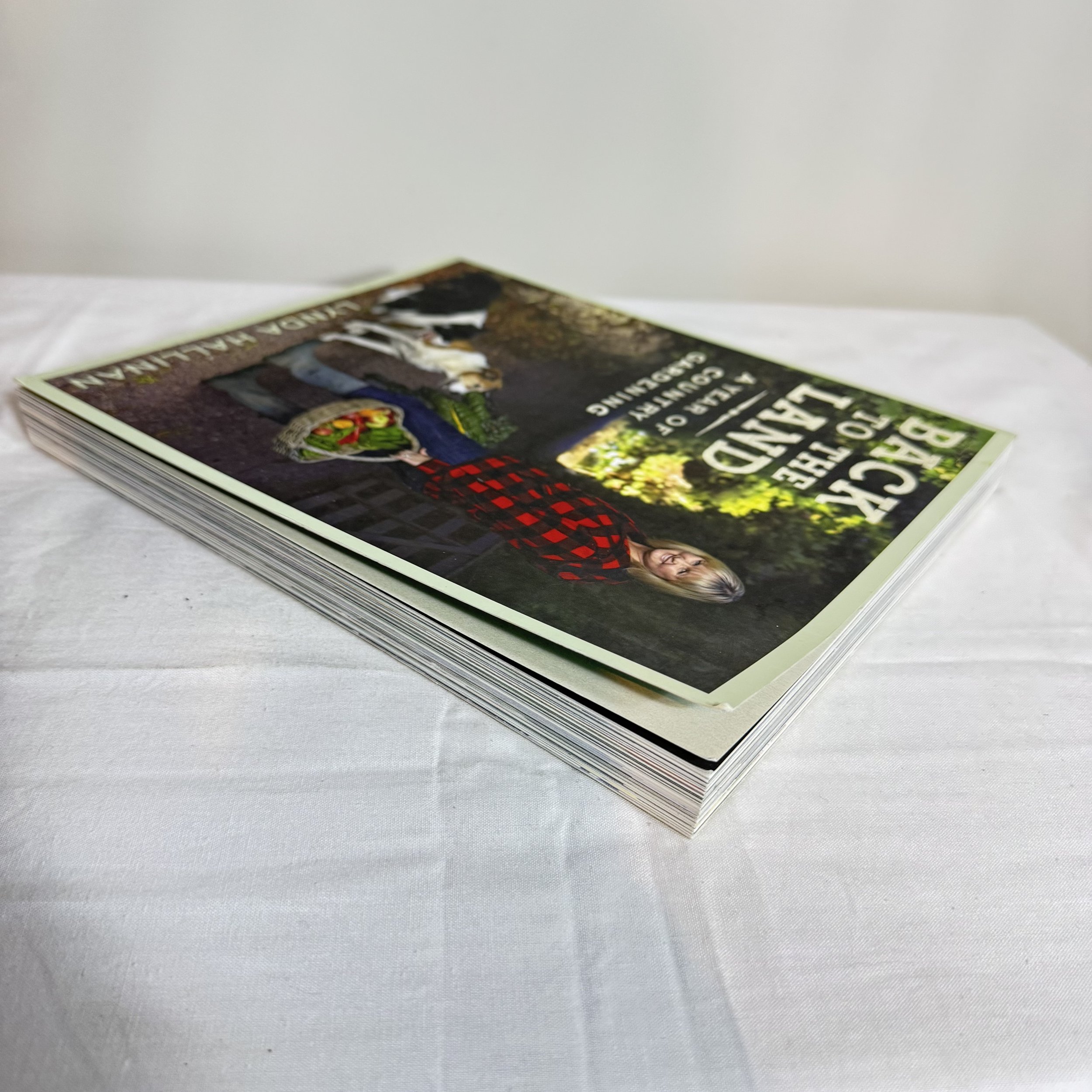 IMG_7307.jpeg