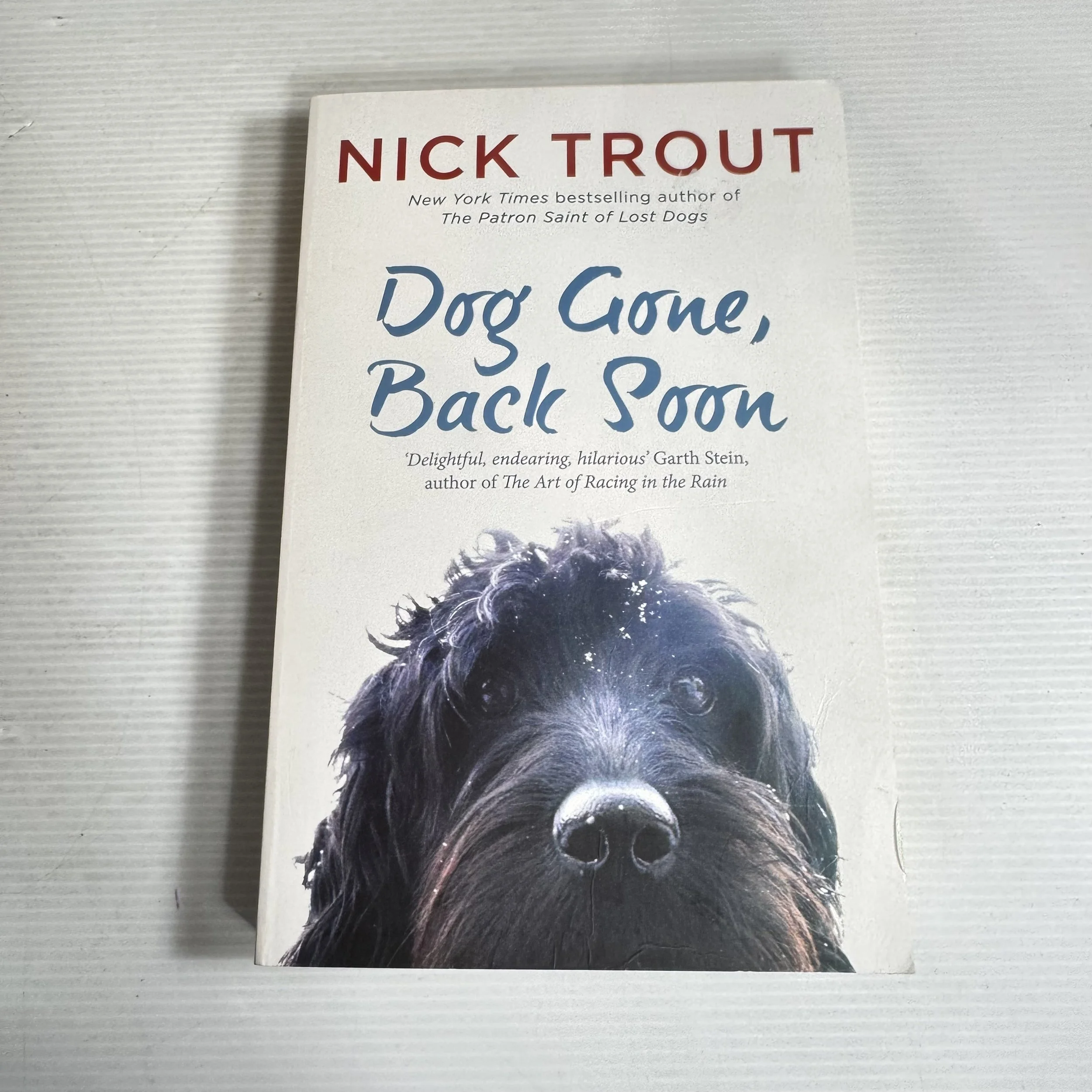 Dog Gone, Back Still - Nick Trout