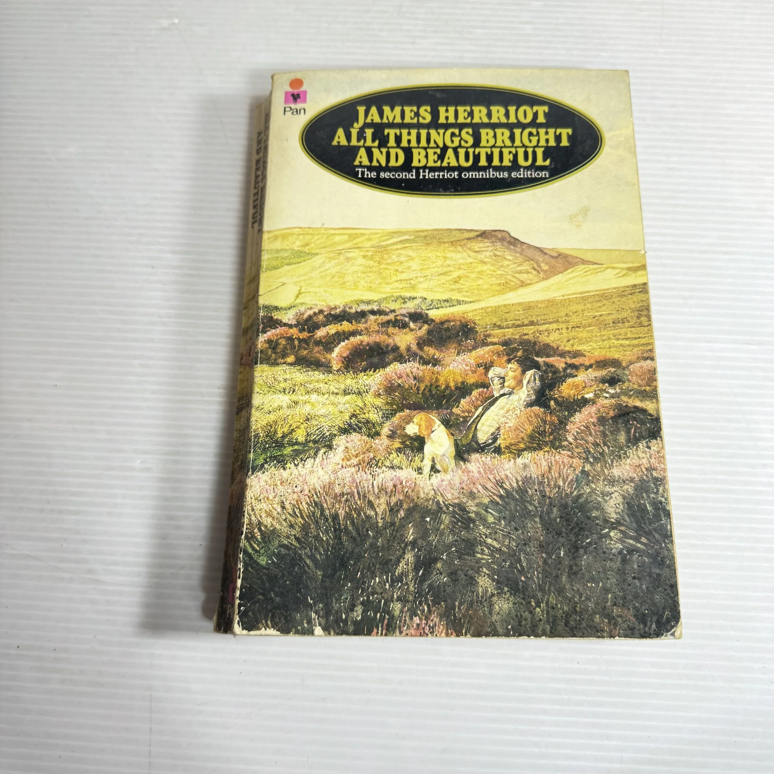 All Things Bright and Beautiful - James Herriot (1976)