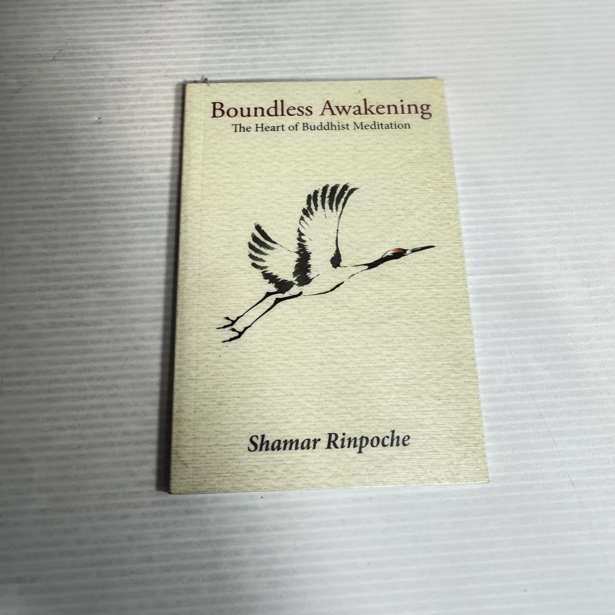 Boundless Awakening : The Heart of Buddhist Mediation - Shamar Rinpoche