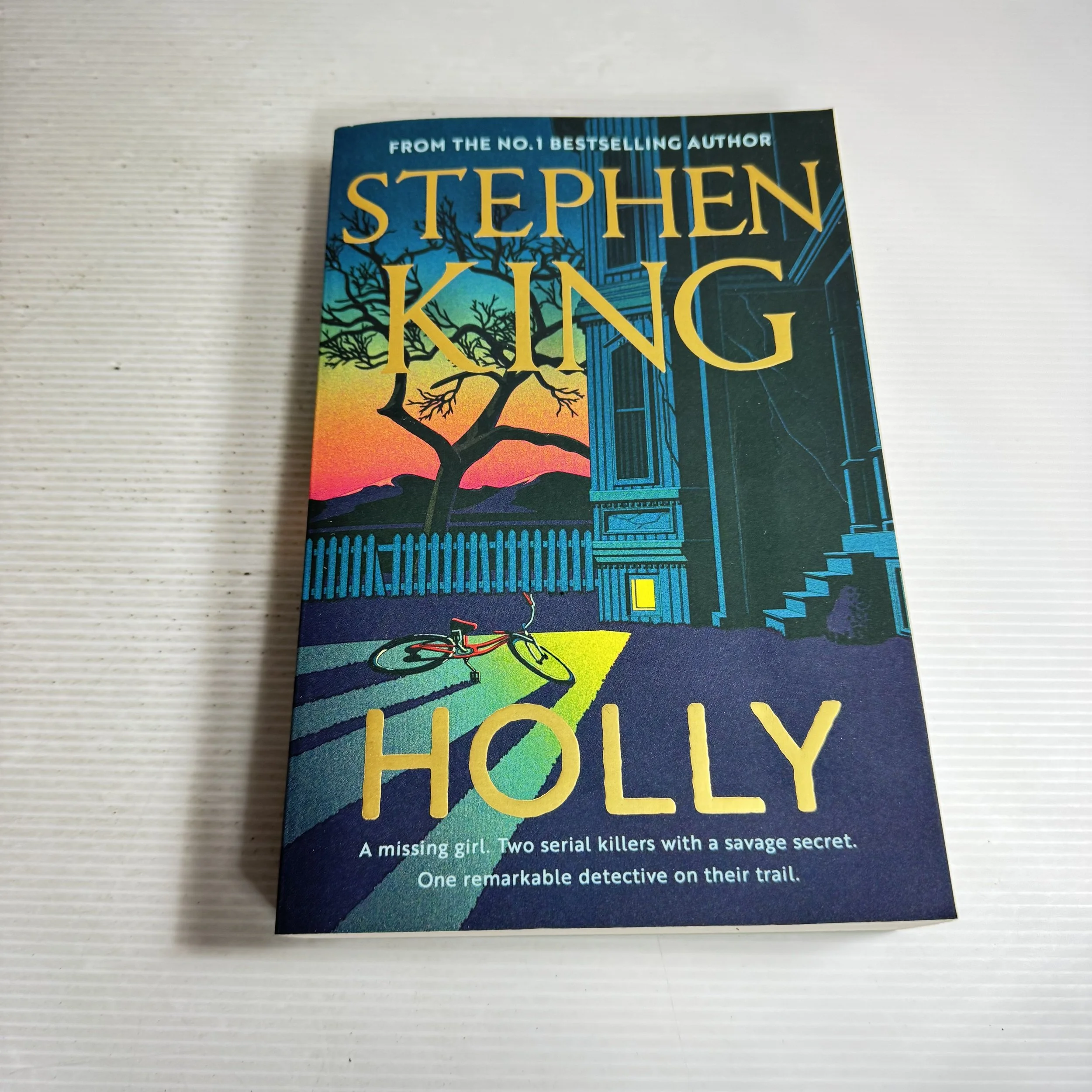 Holly - Stephen King