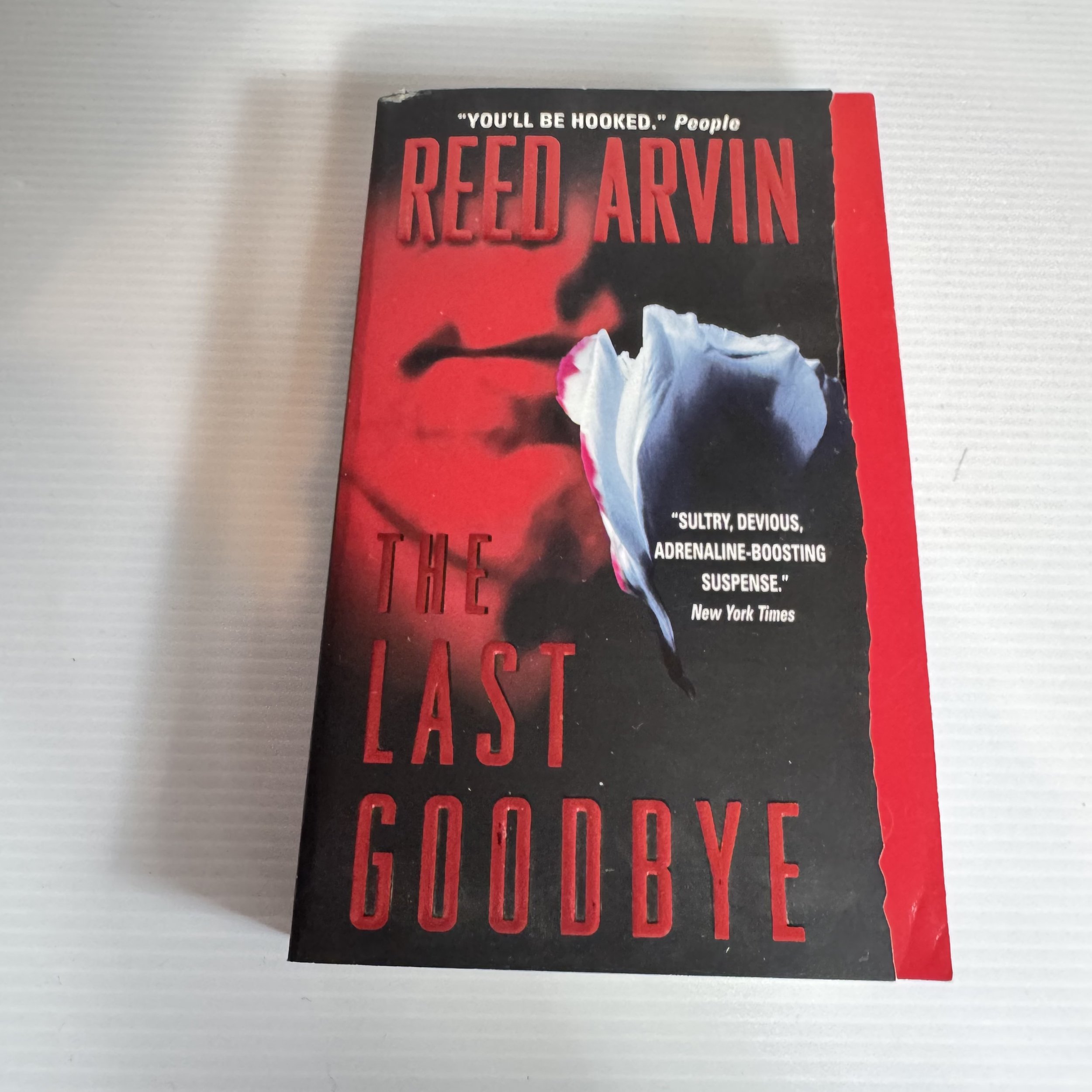 The Last Goodbye - Reed Arvin