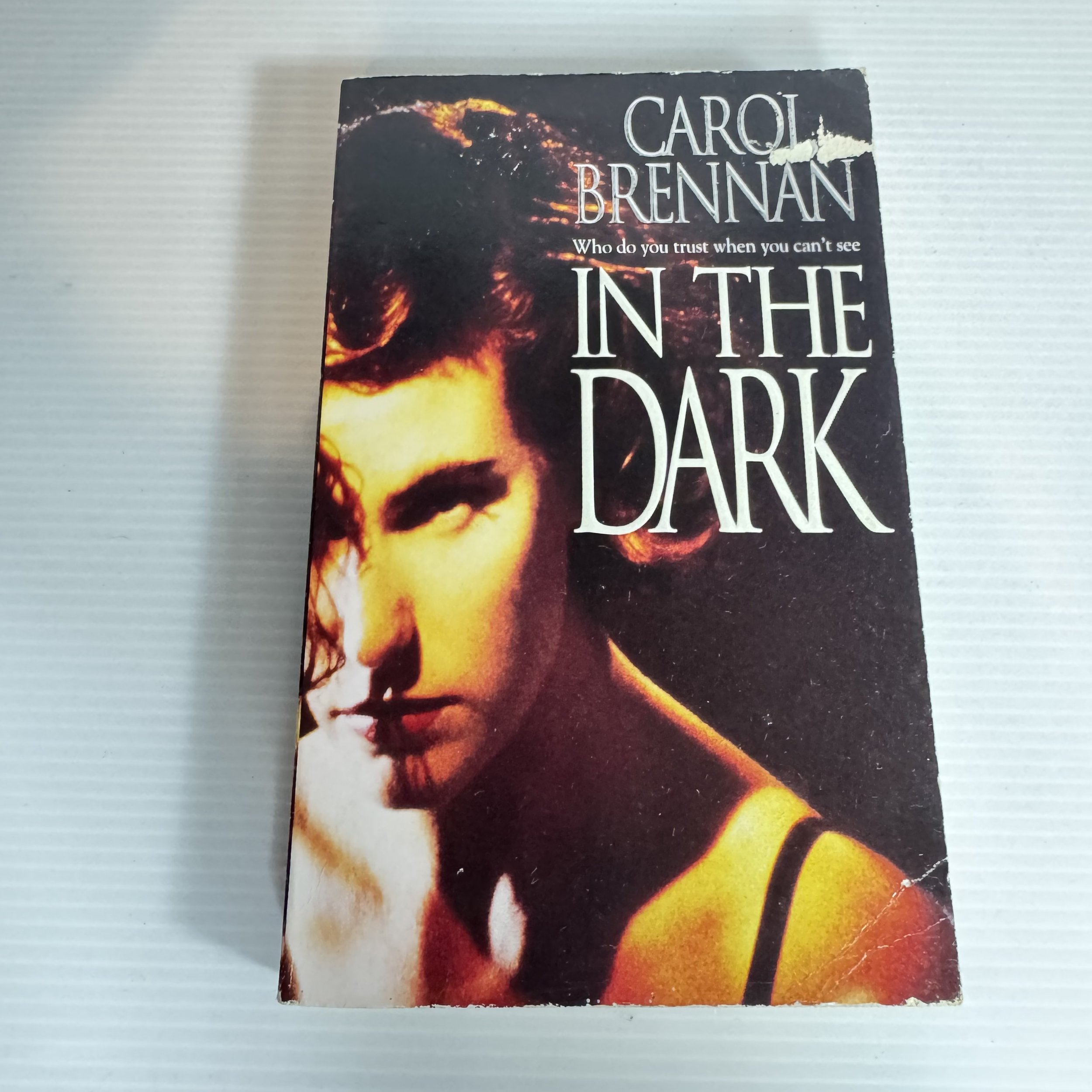 In The Dark - Carol Brennan