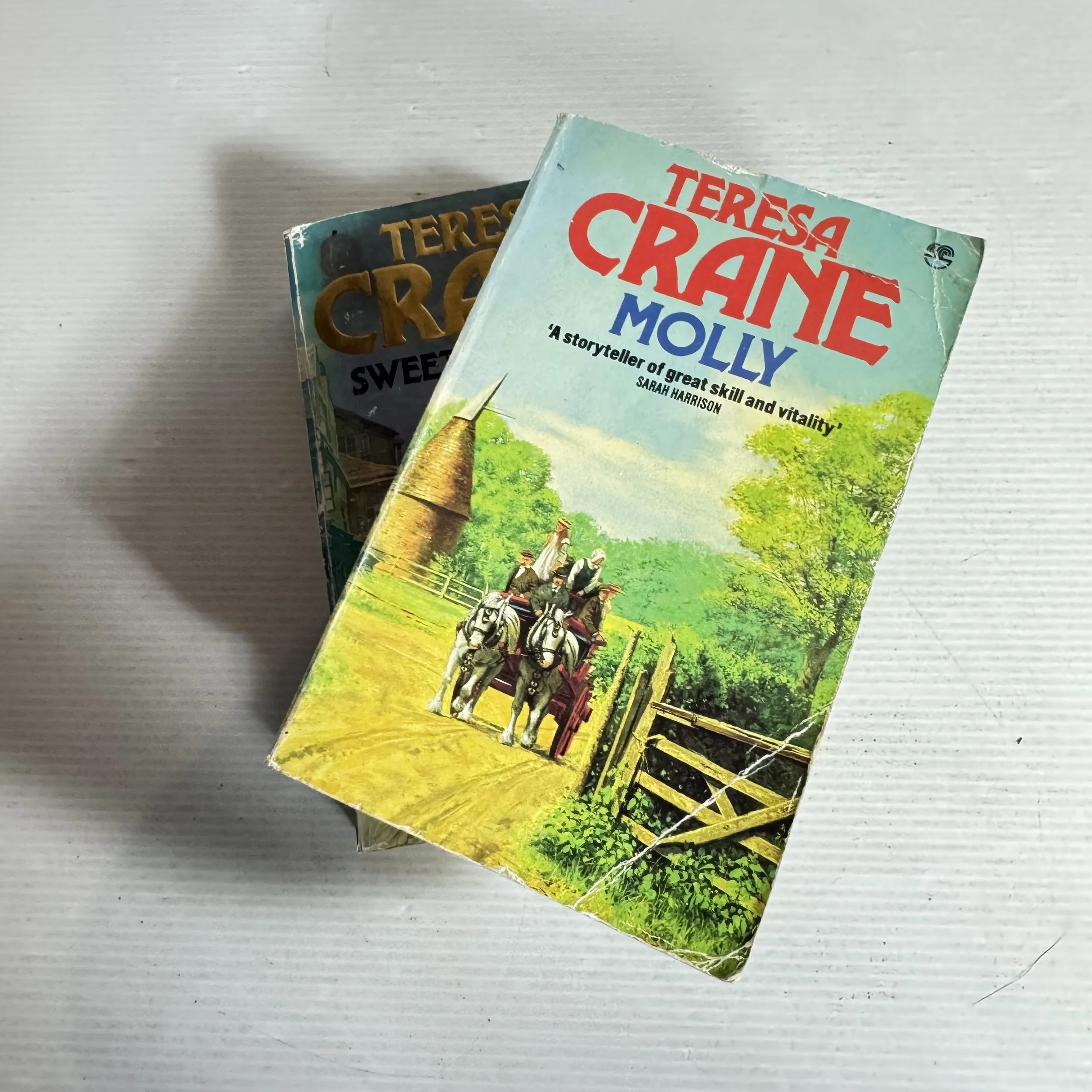 Teresa Crane Book Bundle x2 (643) Molly & Sweet Songbird