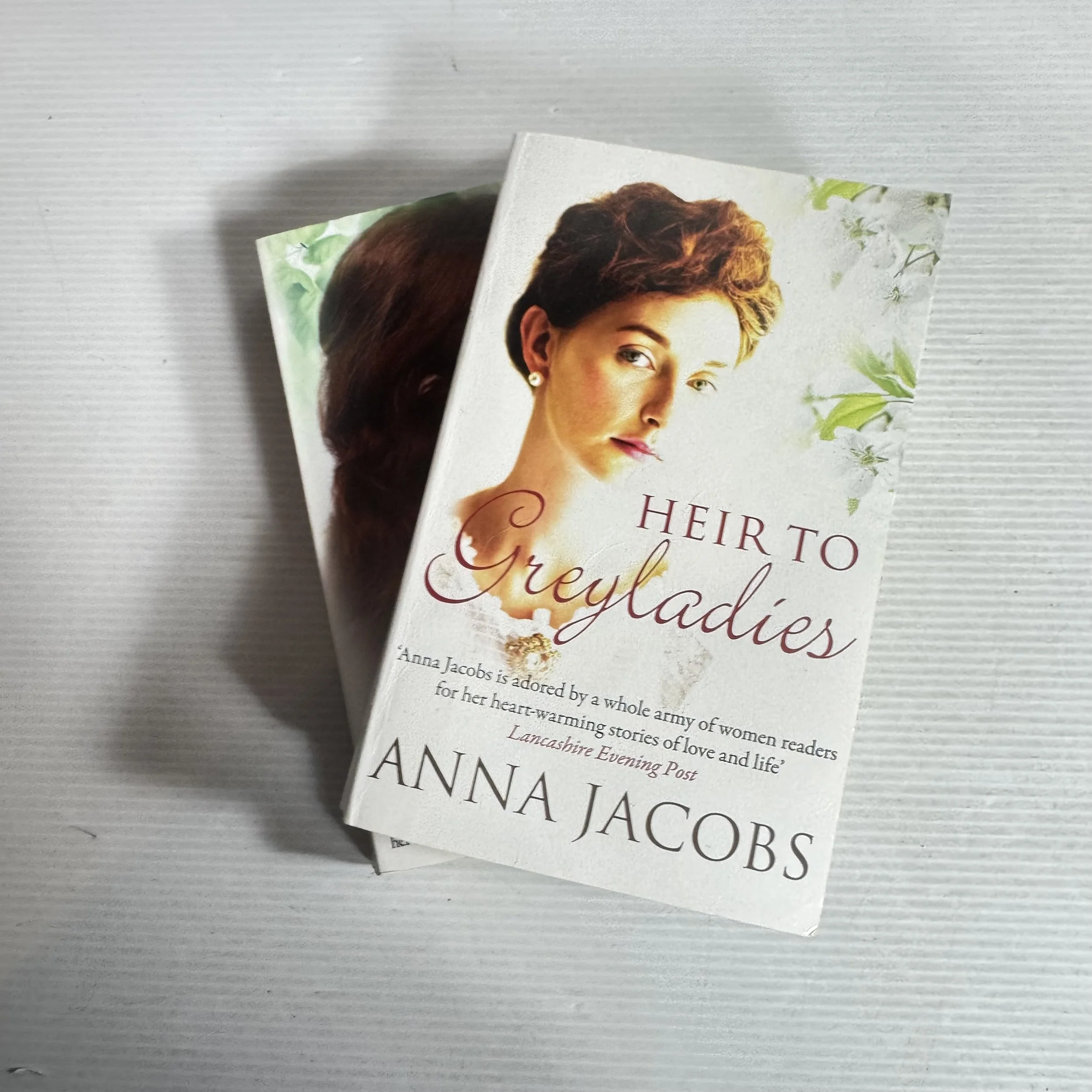 Anna Jacobs Book Bundle x2 Heir To Greyladies & Legacy Of Greyladies