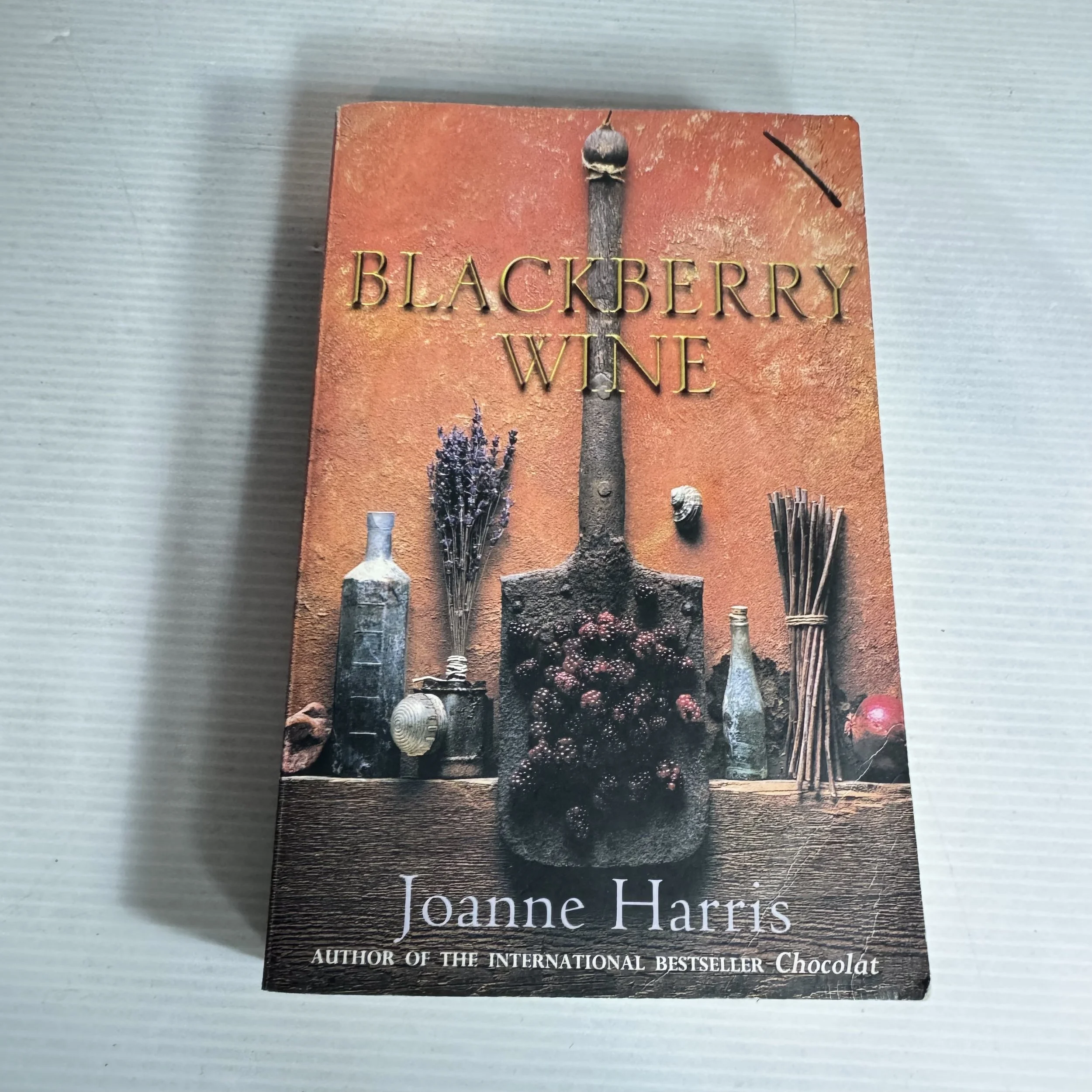 Blackberry Wine - Joanne Harris