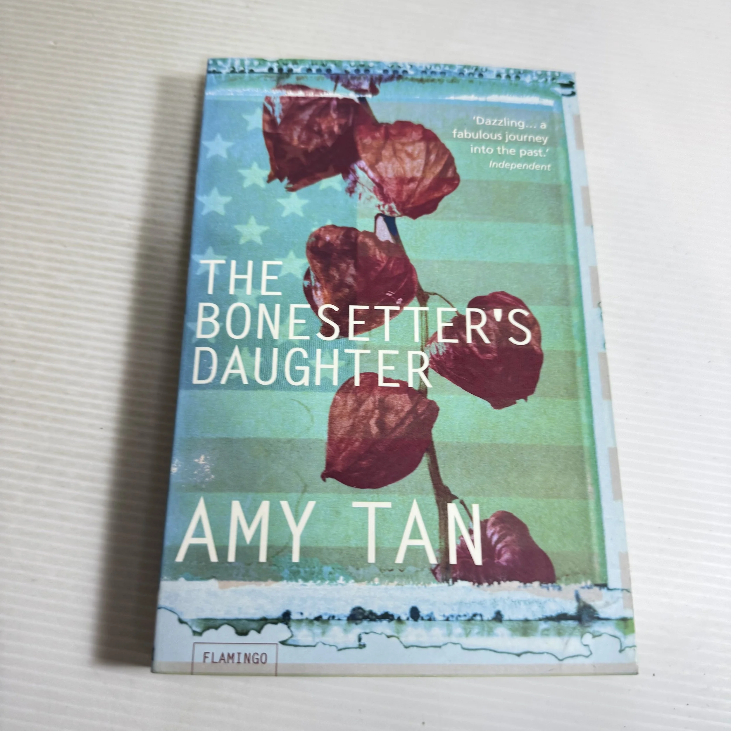 The Bonesetter's Daughter - Amy Tan