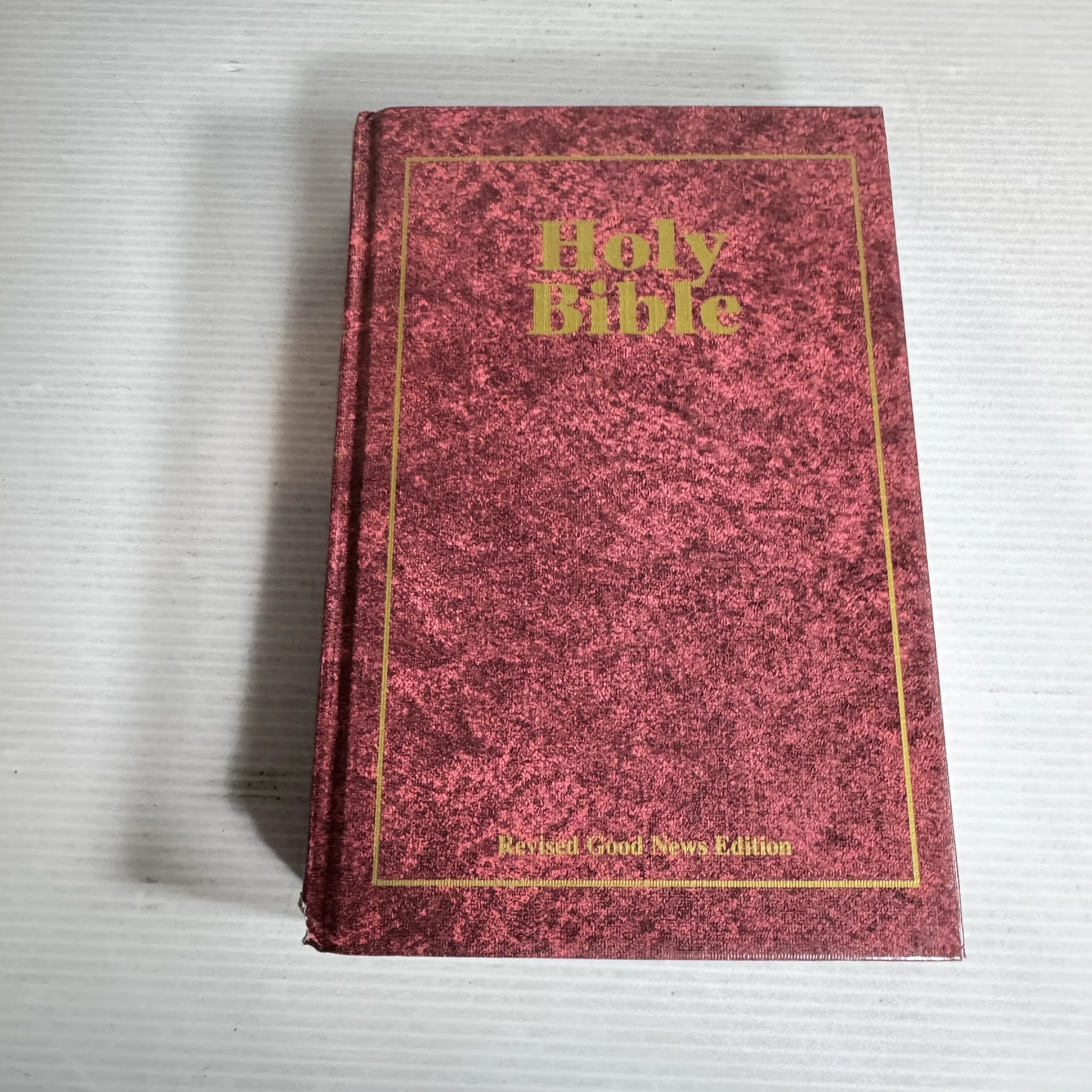 Holy Bible : Revised Good News Edition - Bible Society