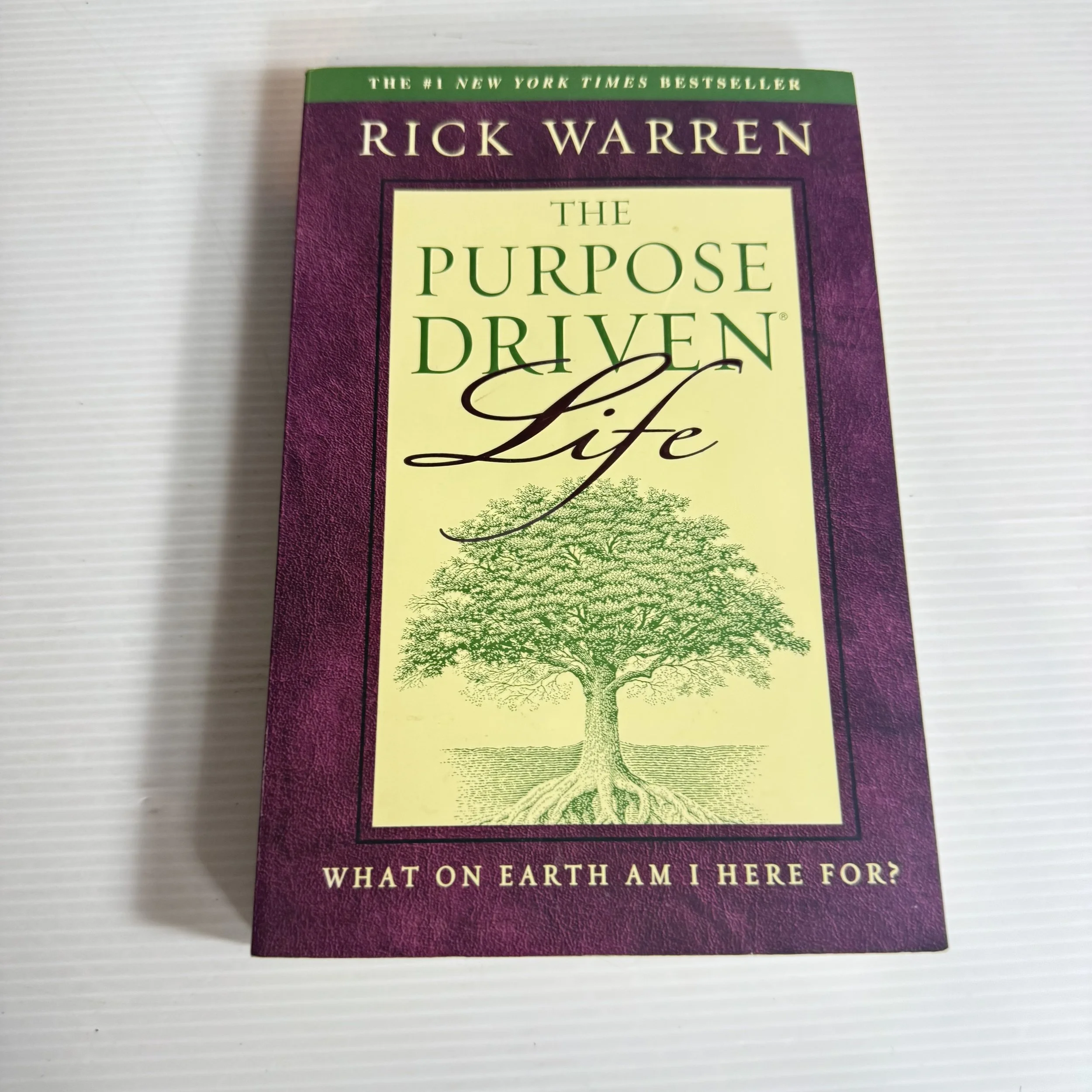 The Purpose Driven Life : What On Earth Am I Here For? - Rick Warren
