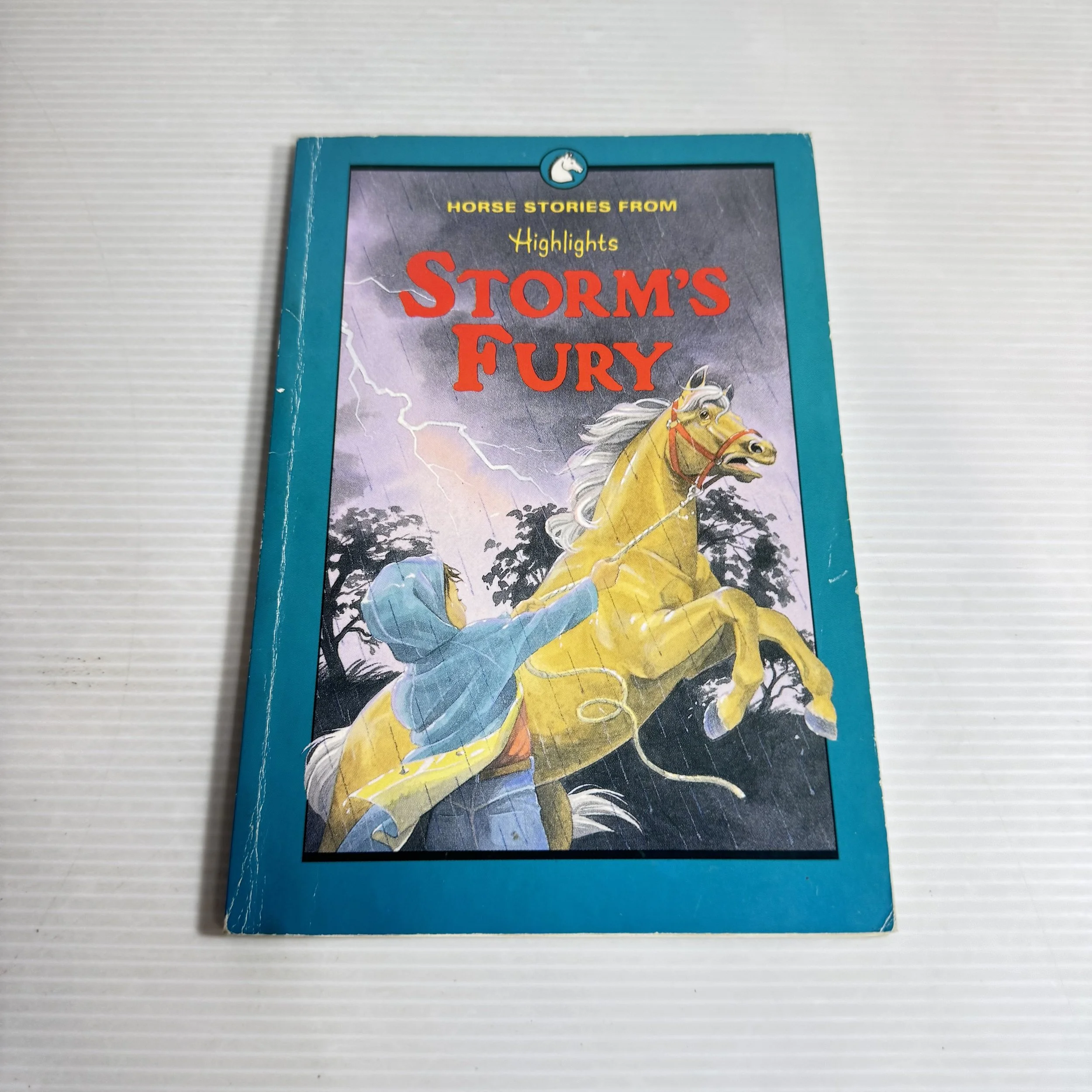 Storm's Fury : Horse Stories From Highlights