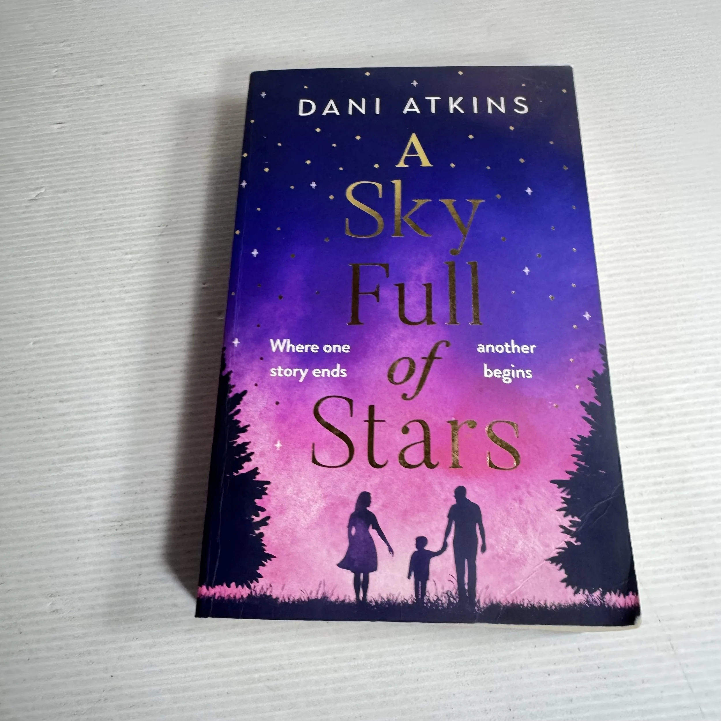 A Sky Full of Stars - Dani Atkins