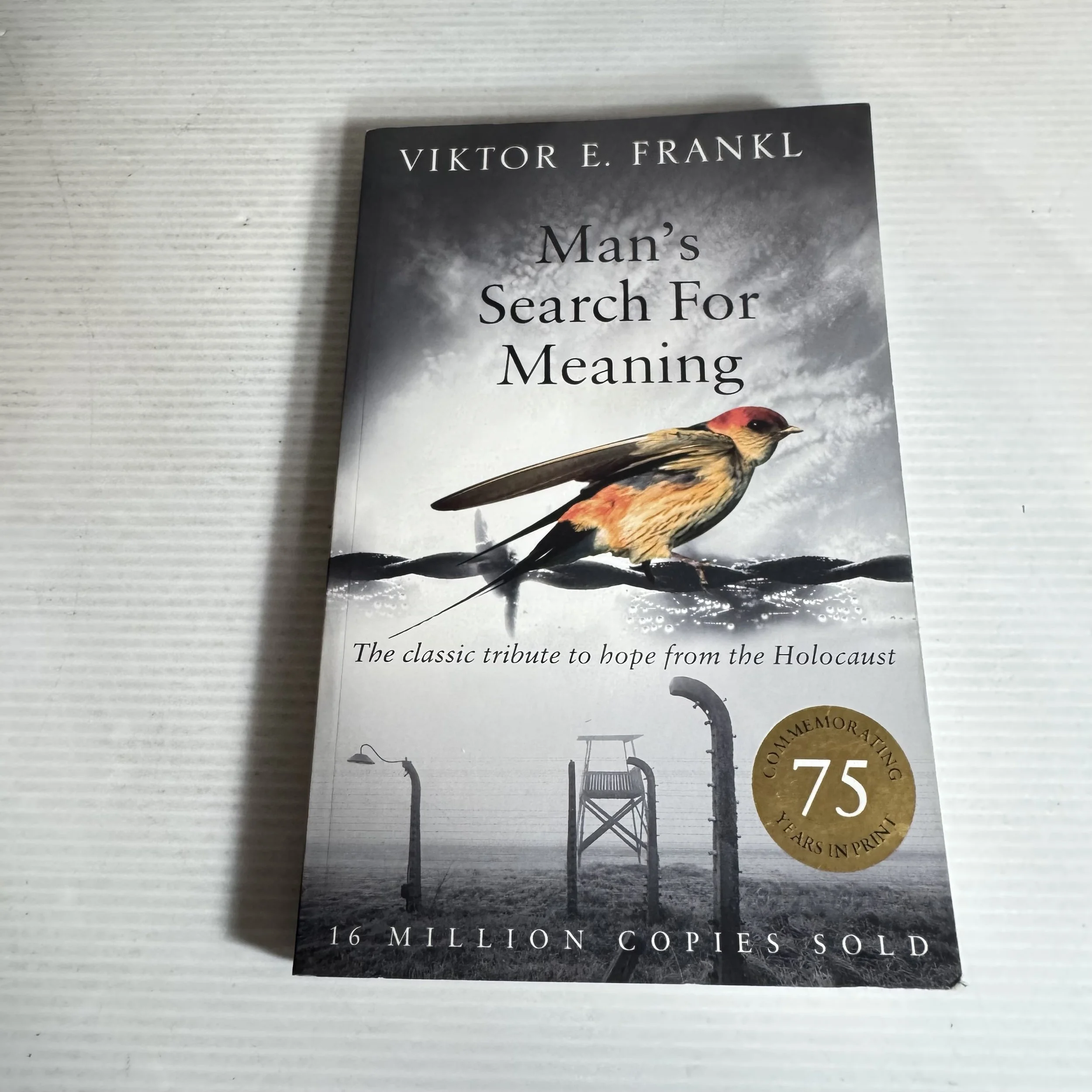Man's Search For Meaning : The Classic Tribute to Hope from the Holocaust - Viktor E. Frankl