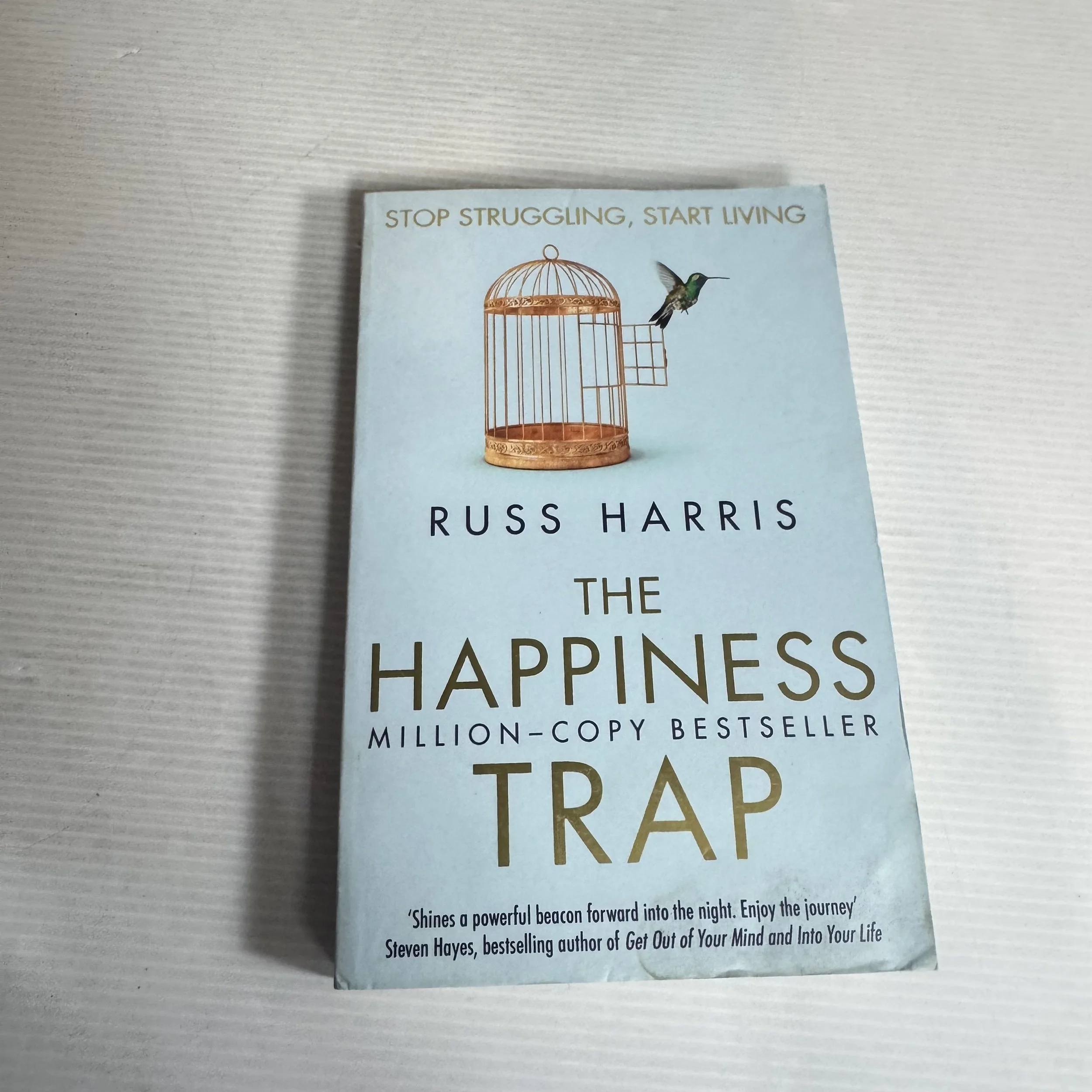 The Happiness Trap : Stop Struggling, Start Living - Russ Harris