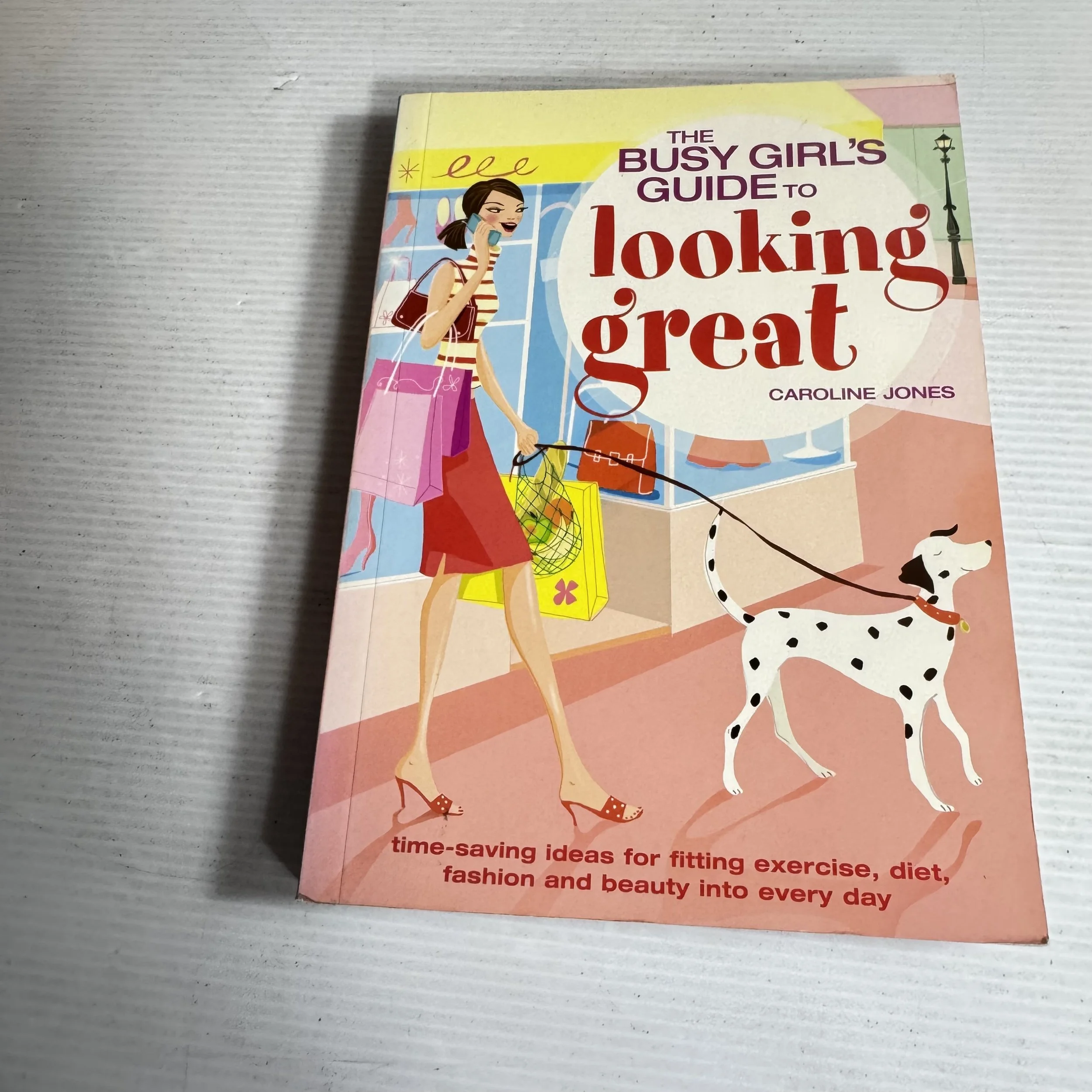 The Busy Girl's Guide to Looking Great - Caroline Jones