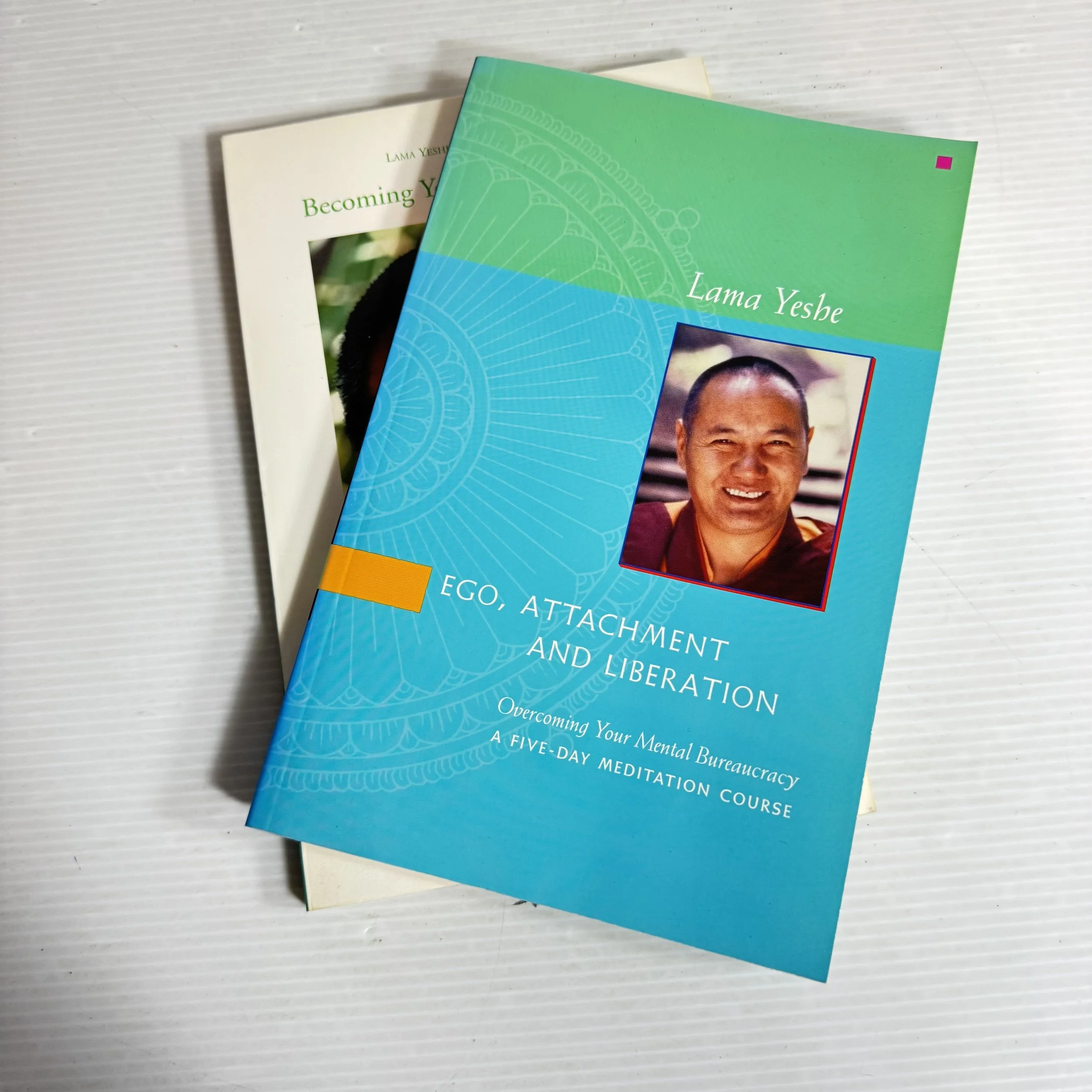 Lama Yeshe Book Bundle x 2 : Ego, Attachment and Liberation & Becoming Your Own Therapist