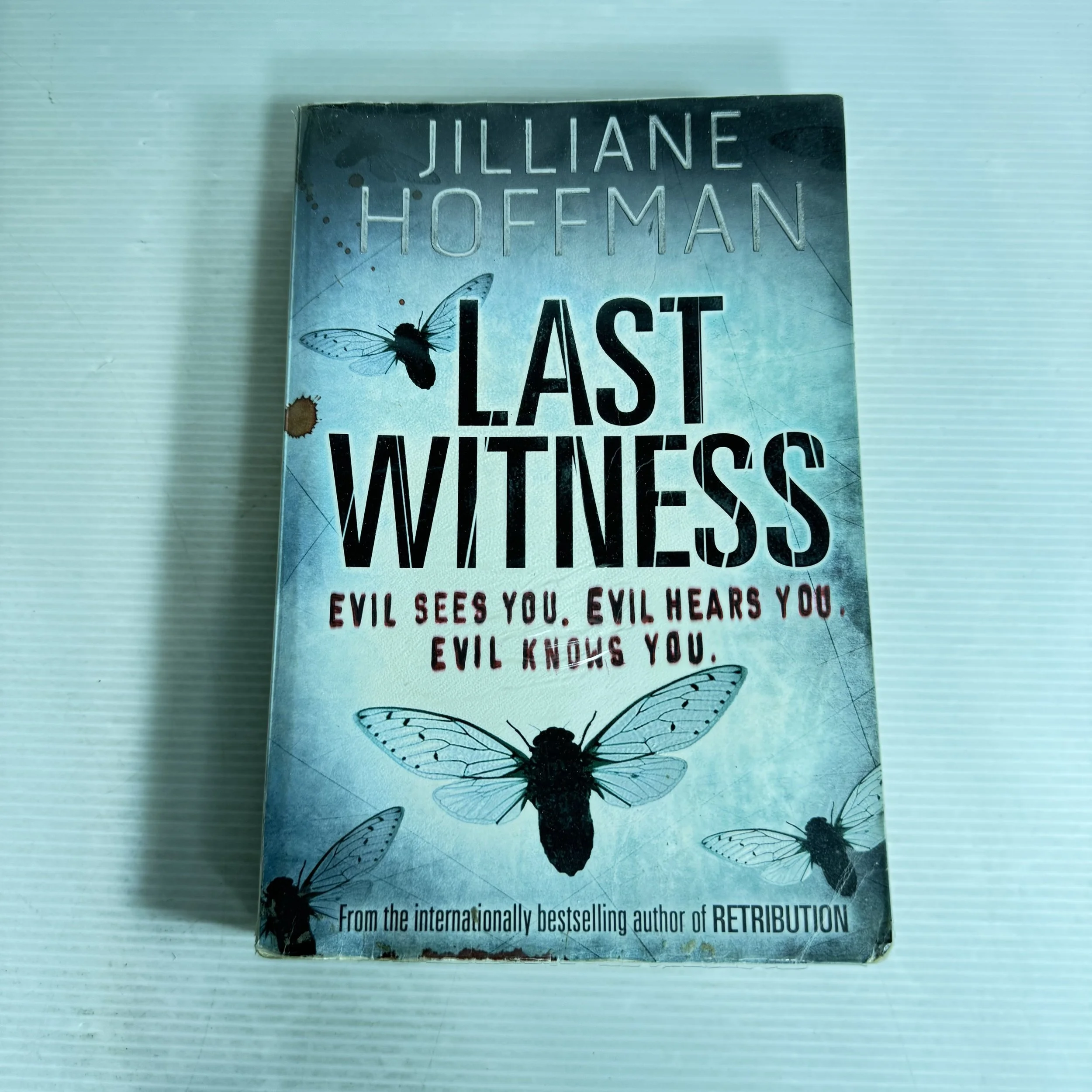 Last Witness - Jilliane Hoffman