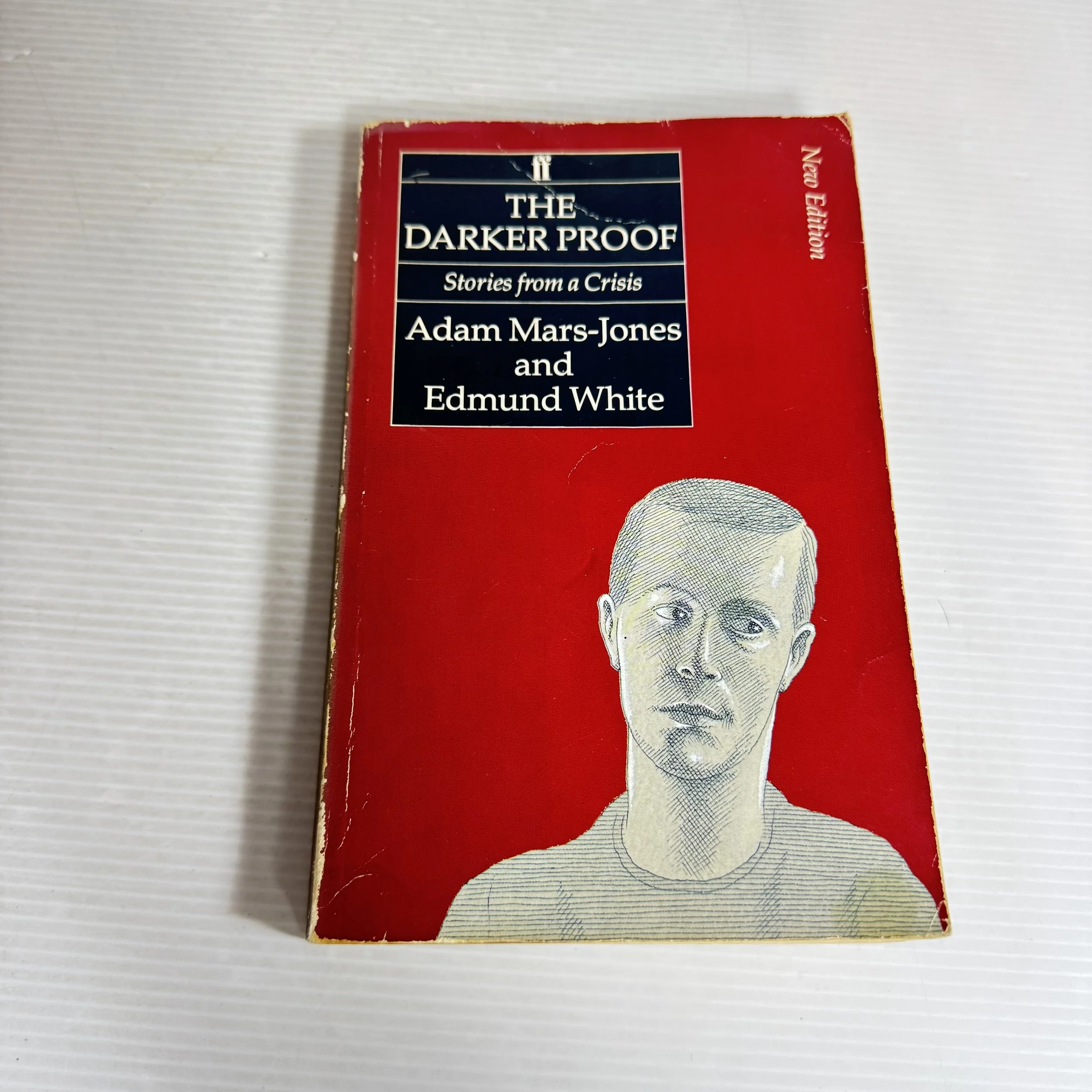 The Darker Proof : Stories from a Crisis - Adam Mars-Jones & Edmund White