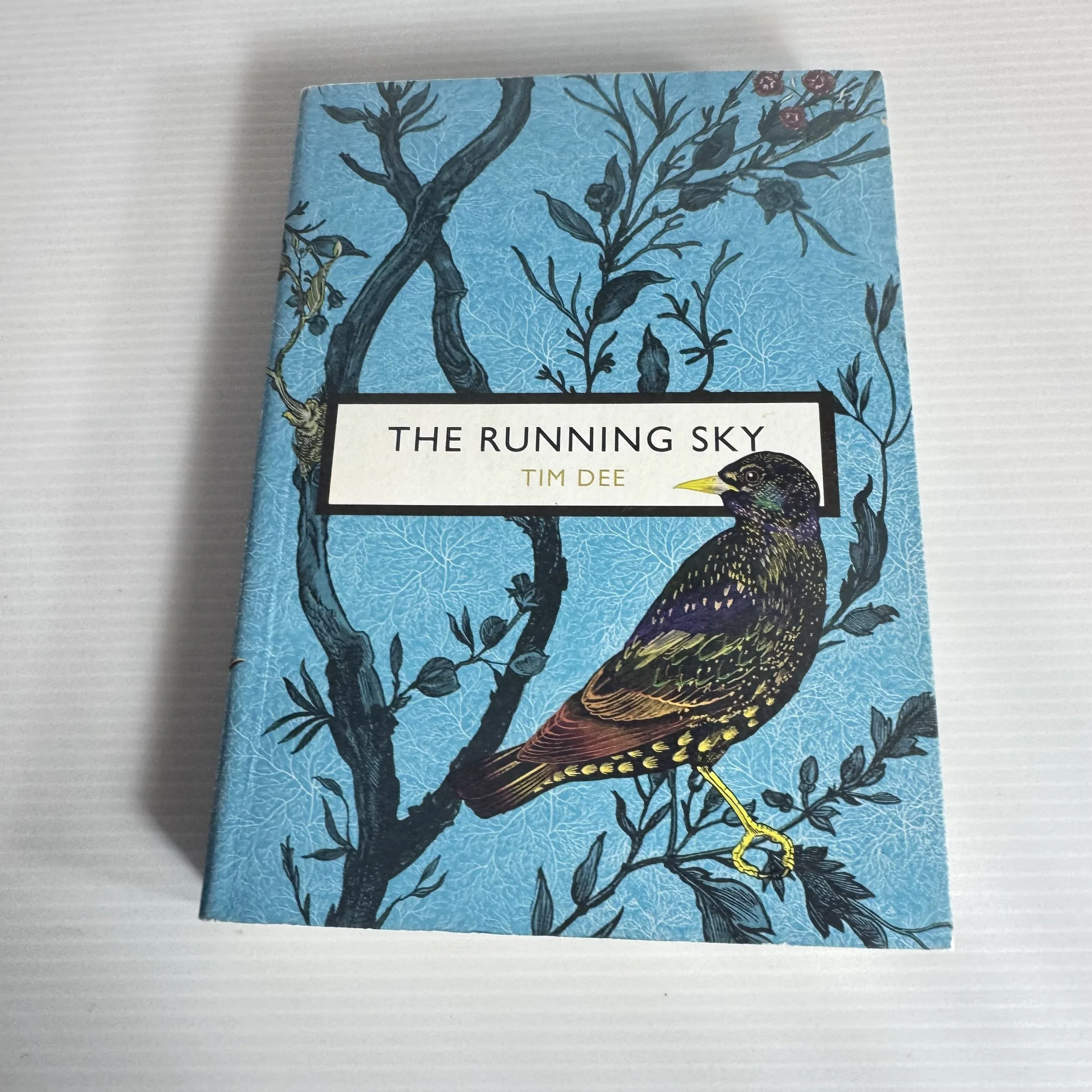 The Running Sky - Tim Dee