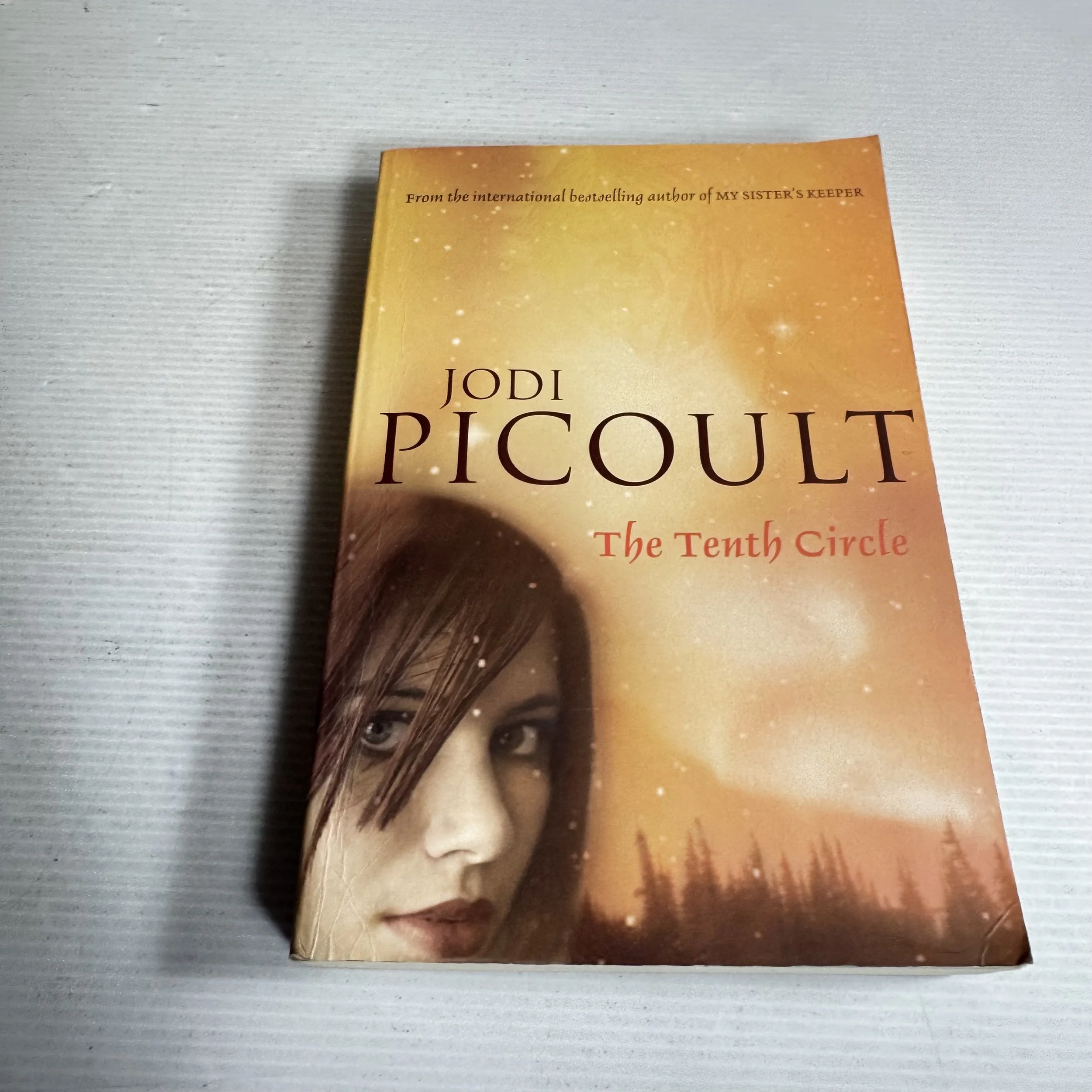 The Tenth Circle - Jodi Picoult
