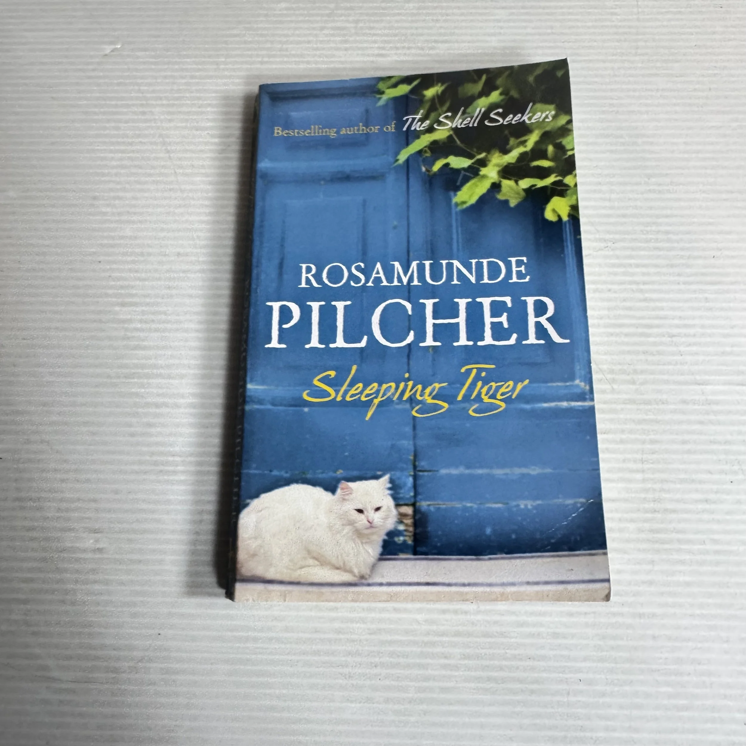 Sleeping Tiger - Rosamunde Pilcher