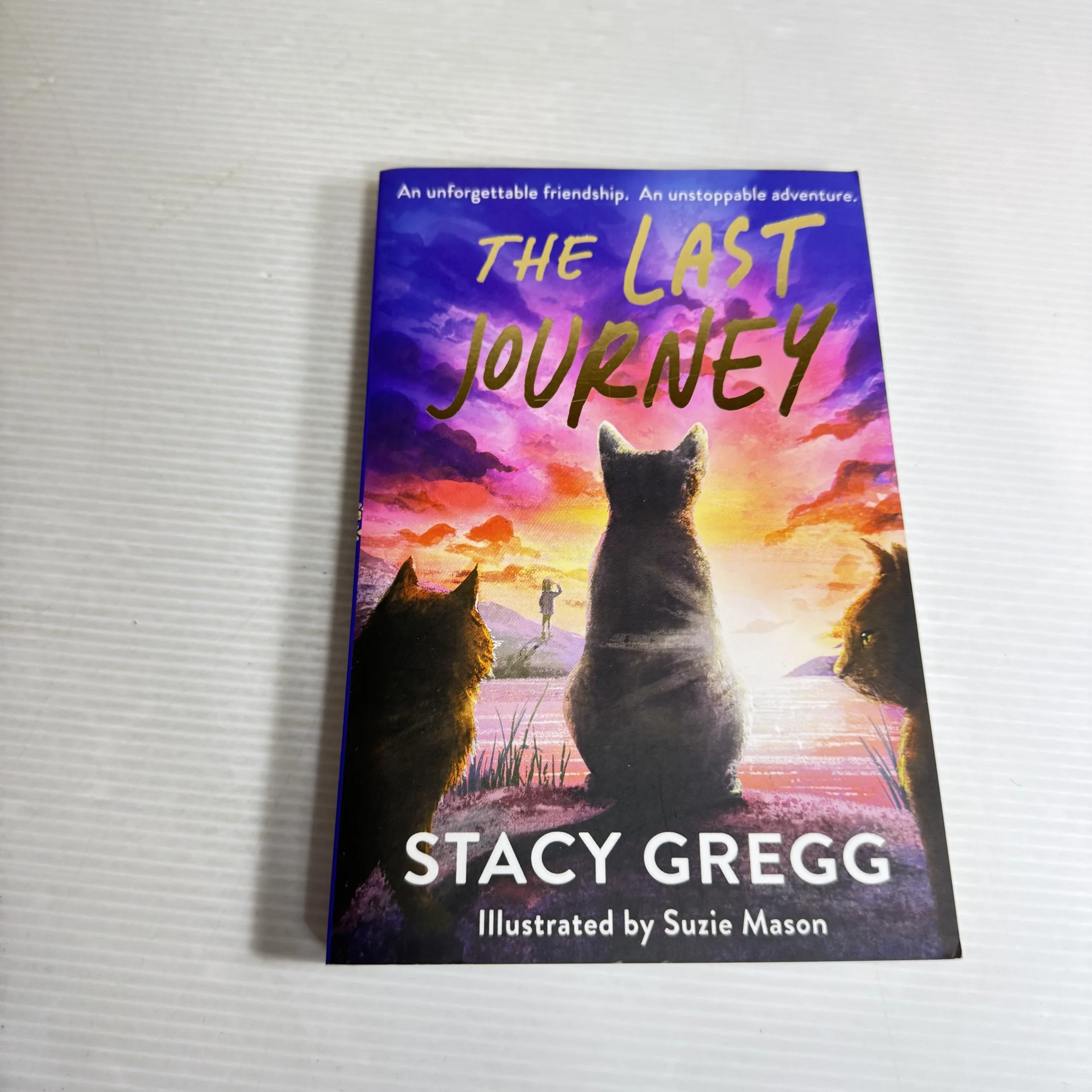 The Last Journey - Stacy Gregg