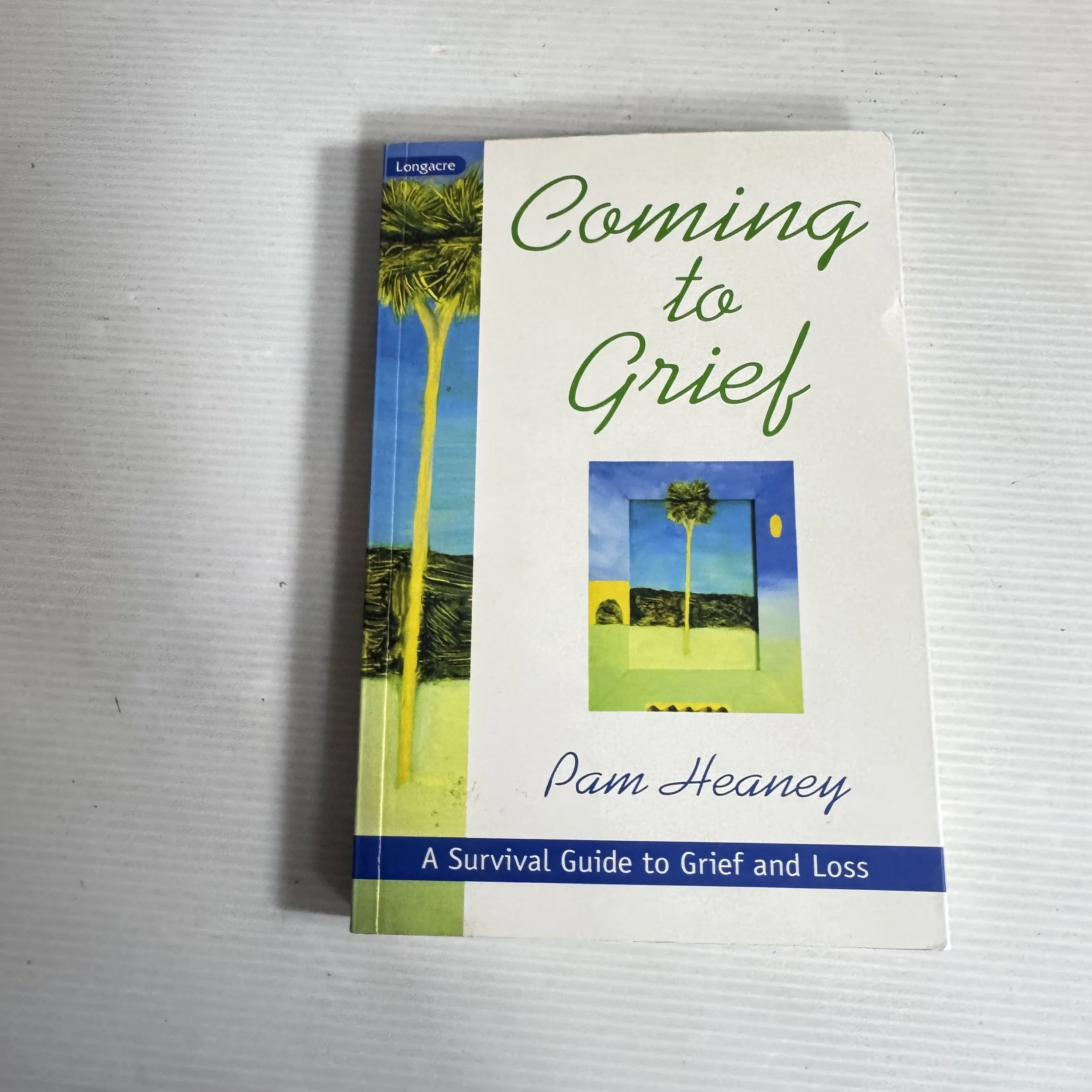 Coming To Grief: A Survival Guide To Grief And Loss - Pam Heaney