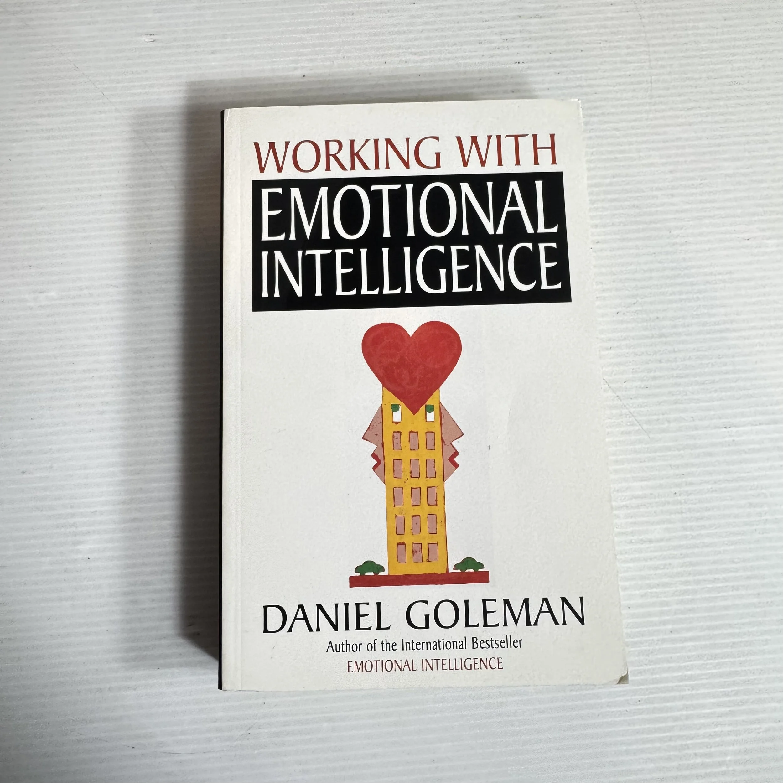 Working With Emotional Intelligence - Daniel Goleman