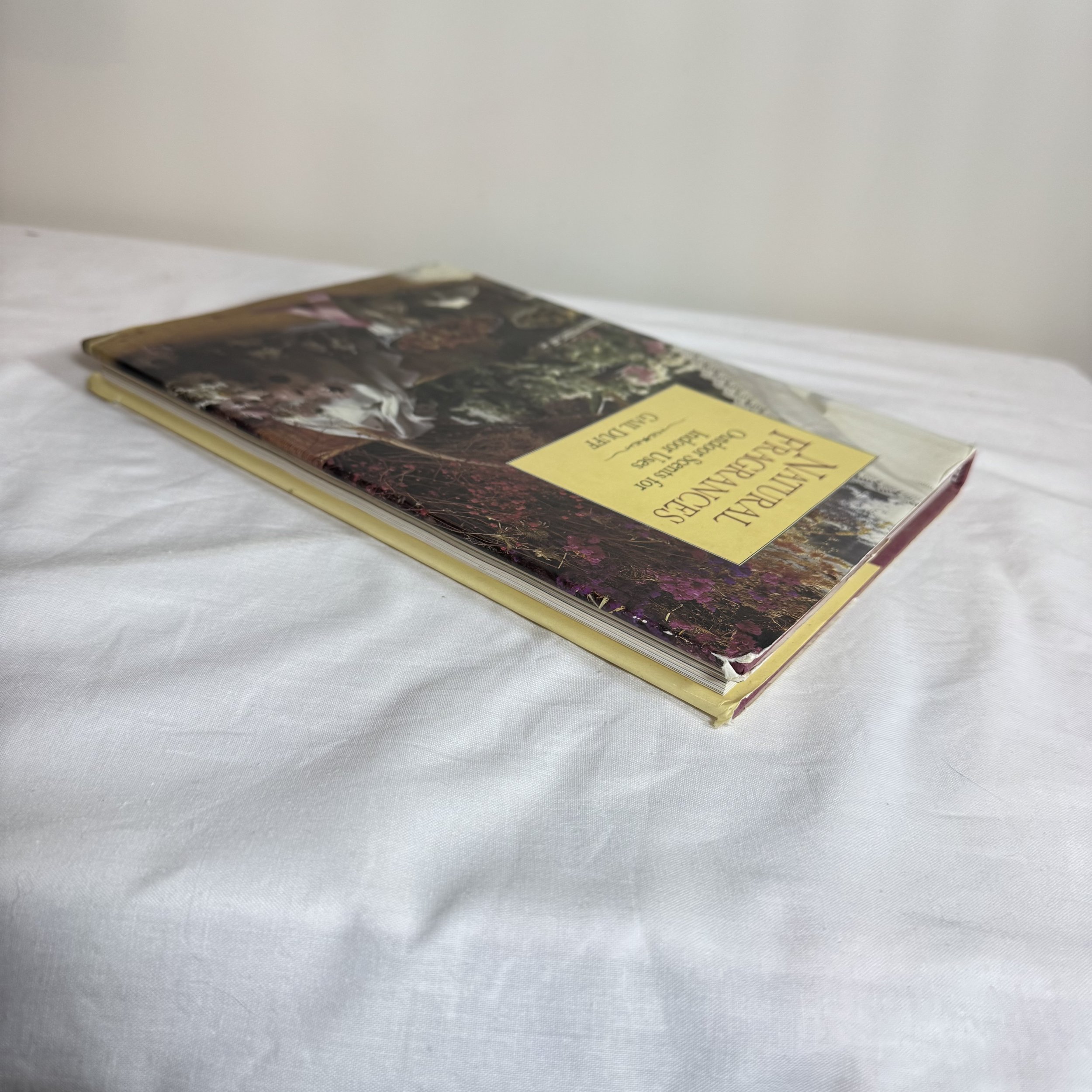 IMG_8687.jpeg