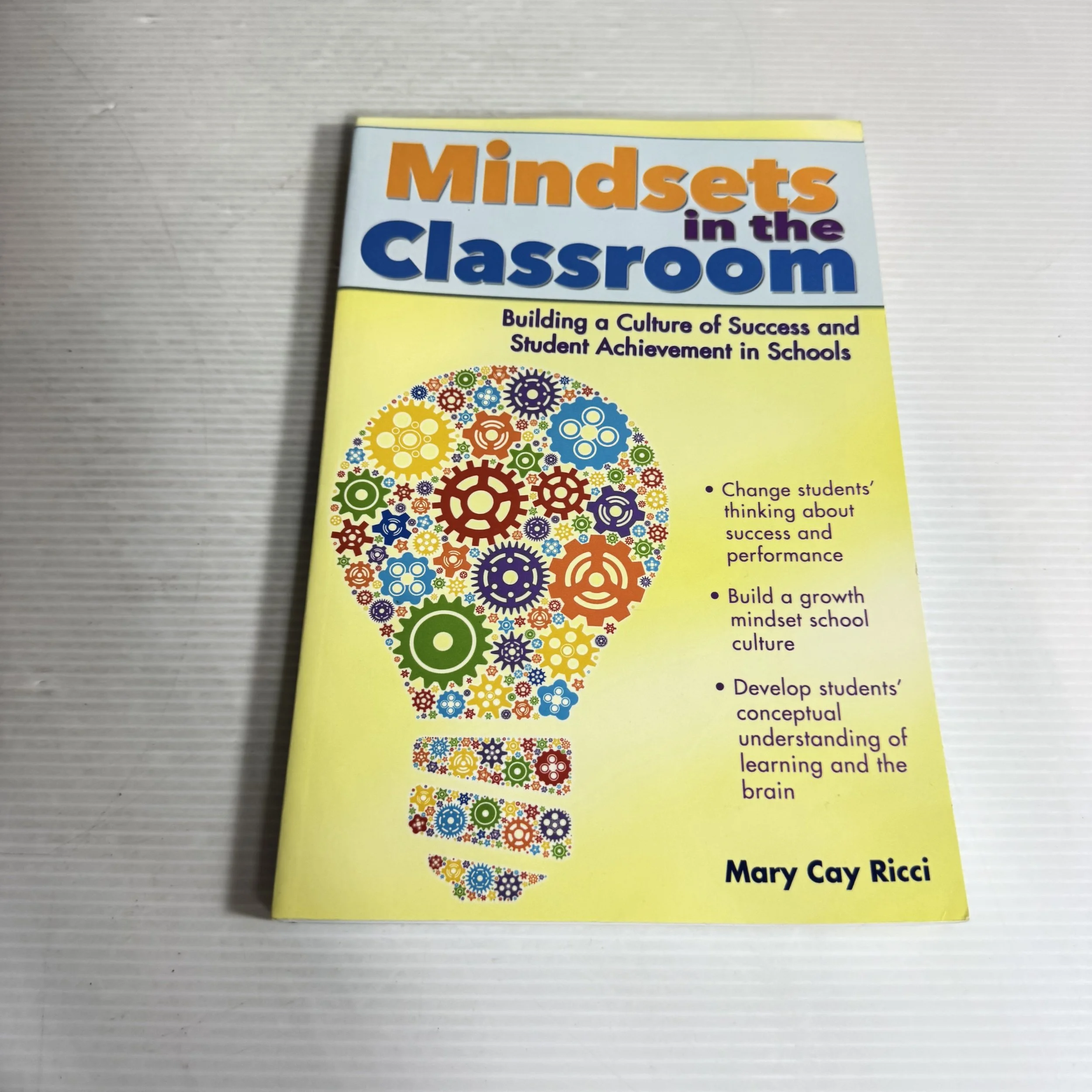 Mindsets in the Classroom : Building a Culture of Success and Student Achievement in Schools - Mary Cay Ricci