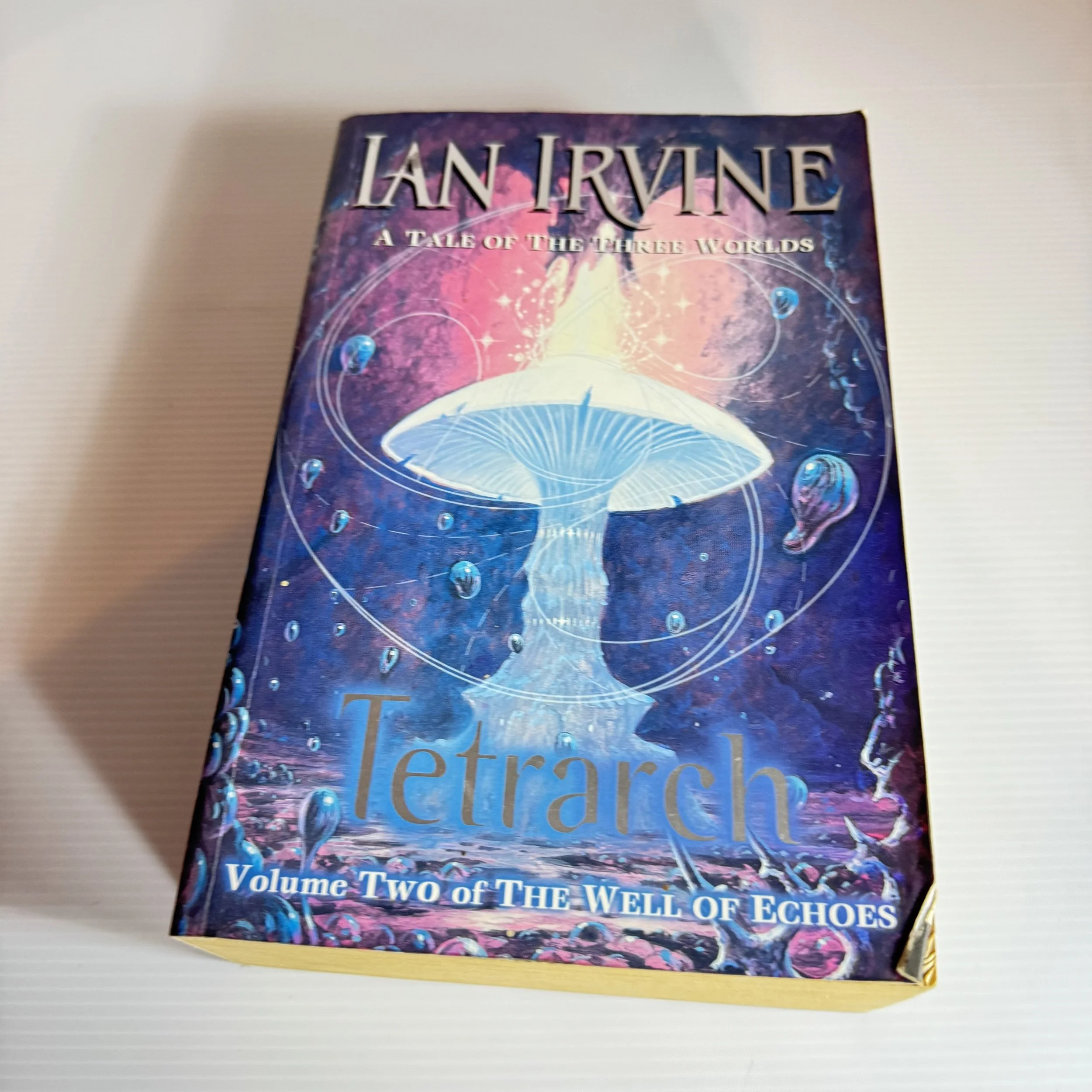 A Tale of The Three Worlds : Volume Two of the Well of Echoes - Ian Irvine