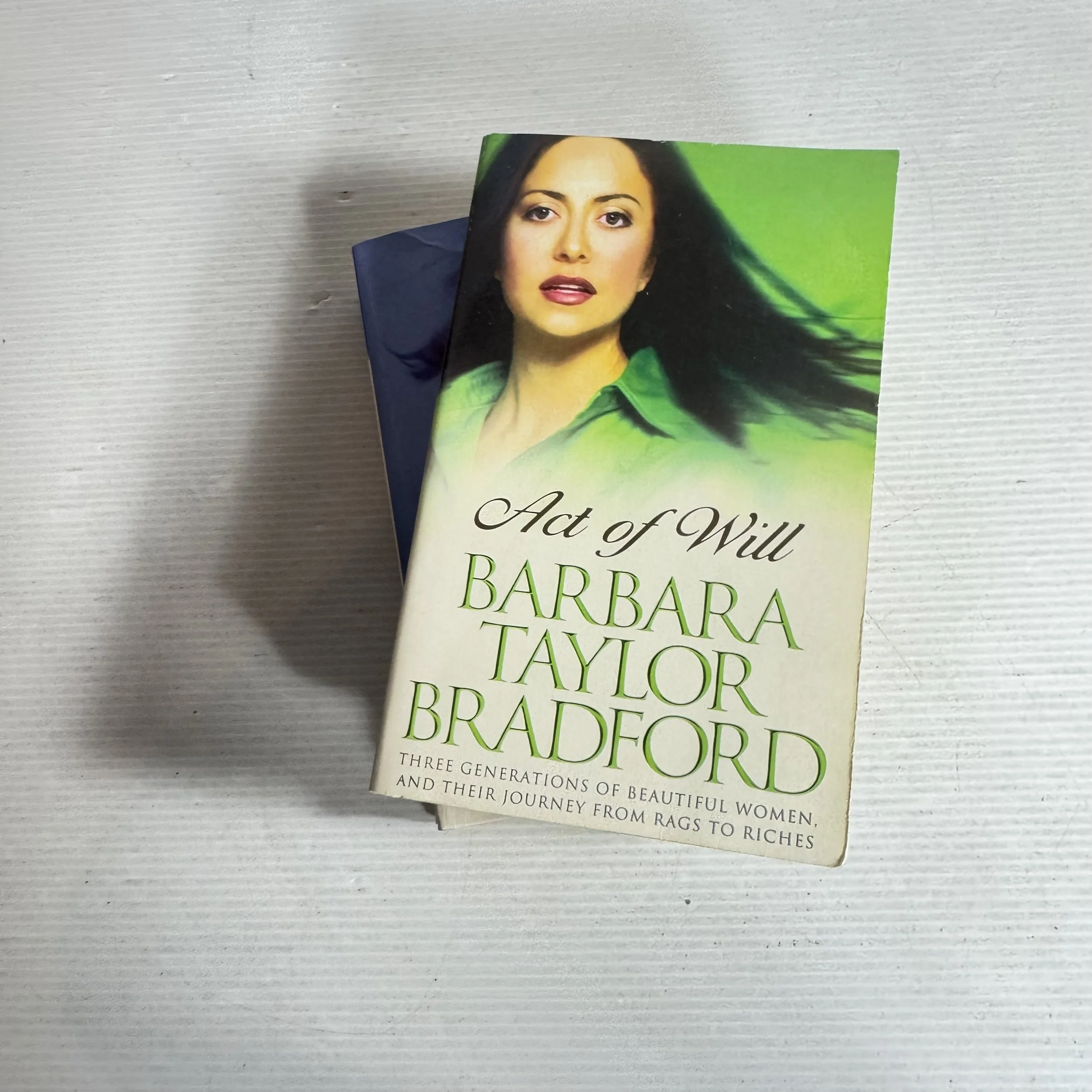 Barbara Taylor Bradford Book Bundle x2 (422) Act of Will & Where You Belong