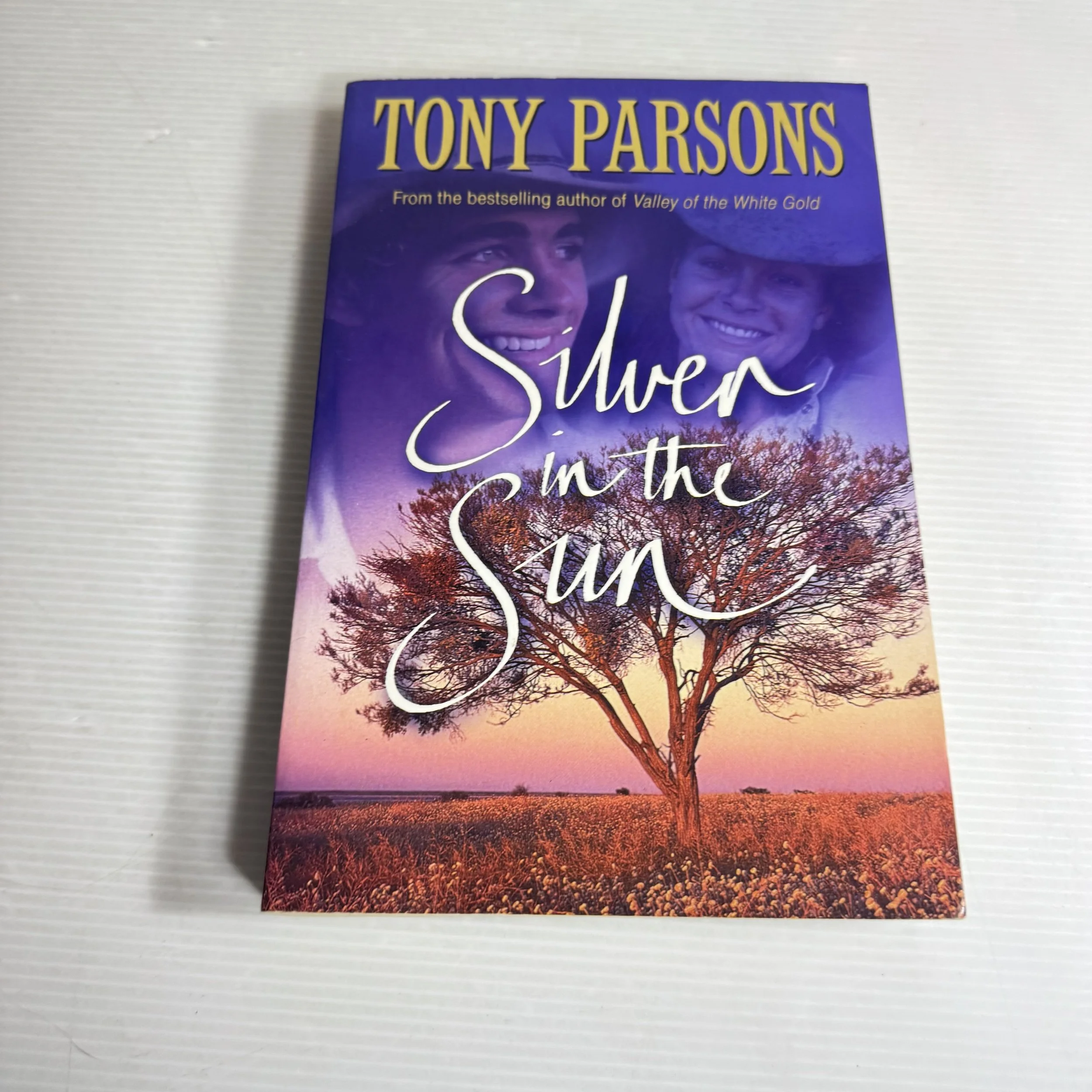 Silver In The Sun - Tony Parsons