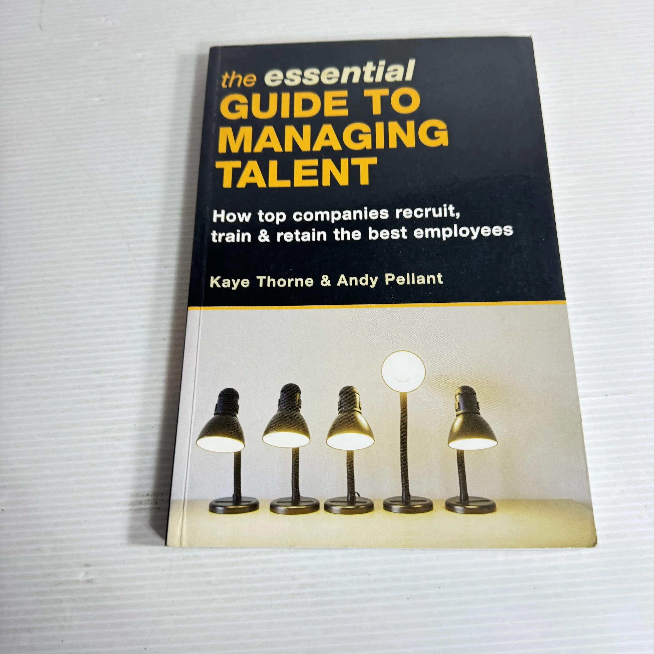 The Essential Guide to Managing Talent : How Top Companies Recruit, Train & Retain the Best Employees - Kaye Thorne & Andy Pellant