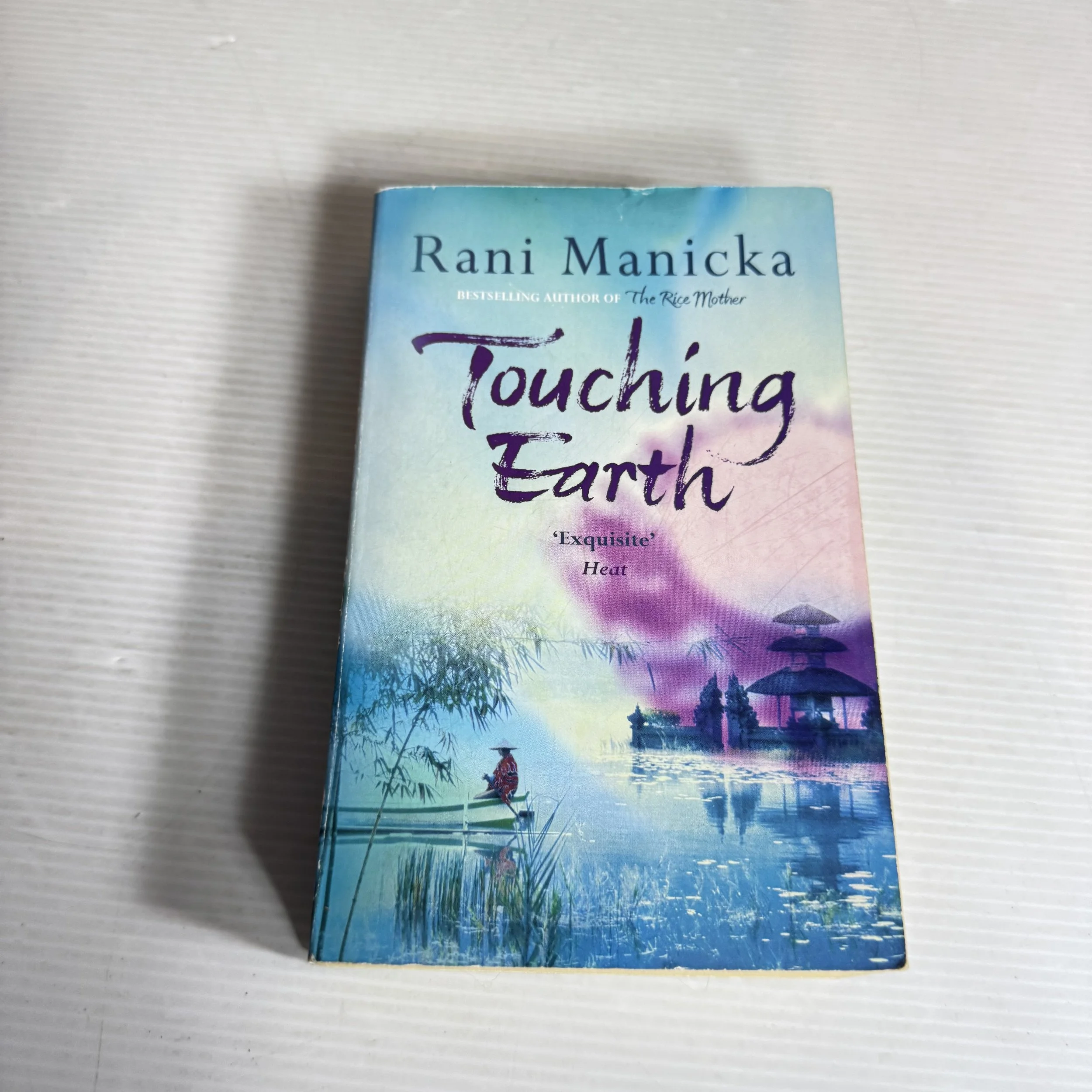 Touching Earth - Rani Manicka