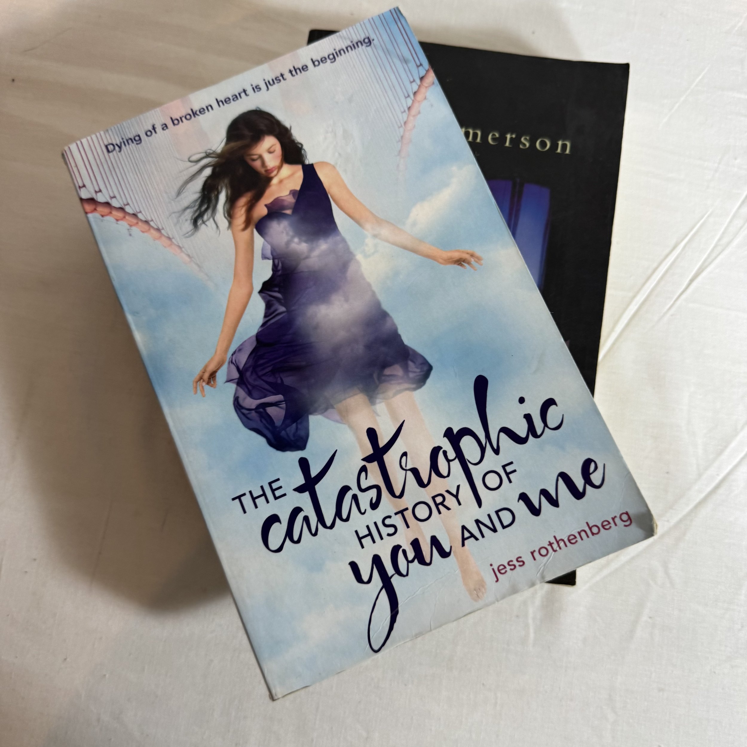 Romance Book Bundle x 2 - Heat & The Catastrophic History of You and Me