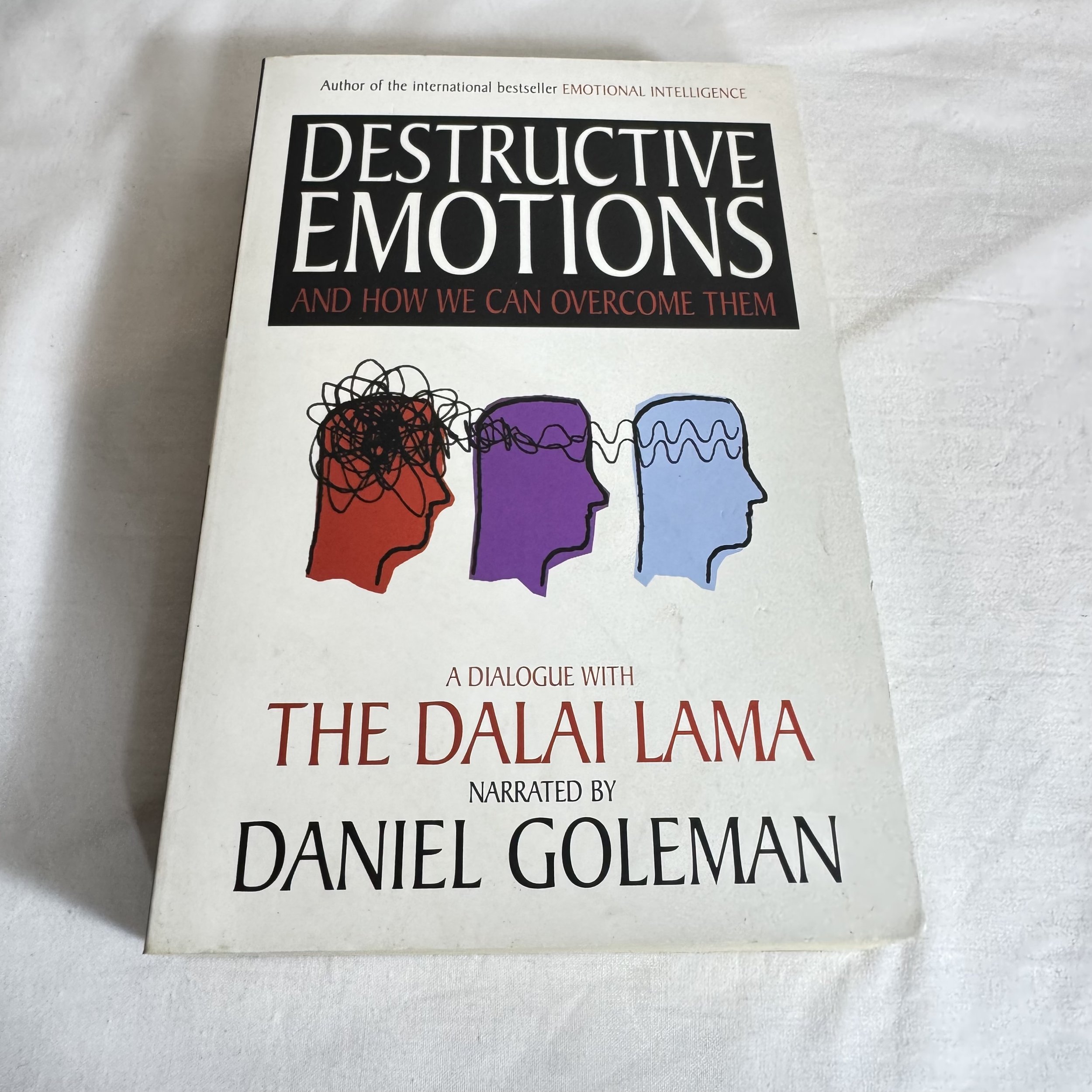 Destructive Emotions - A Dialogue with The Dalai Lama Narrated by Daniel Goleman