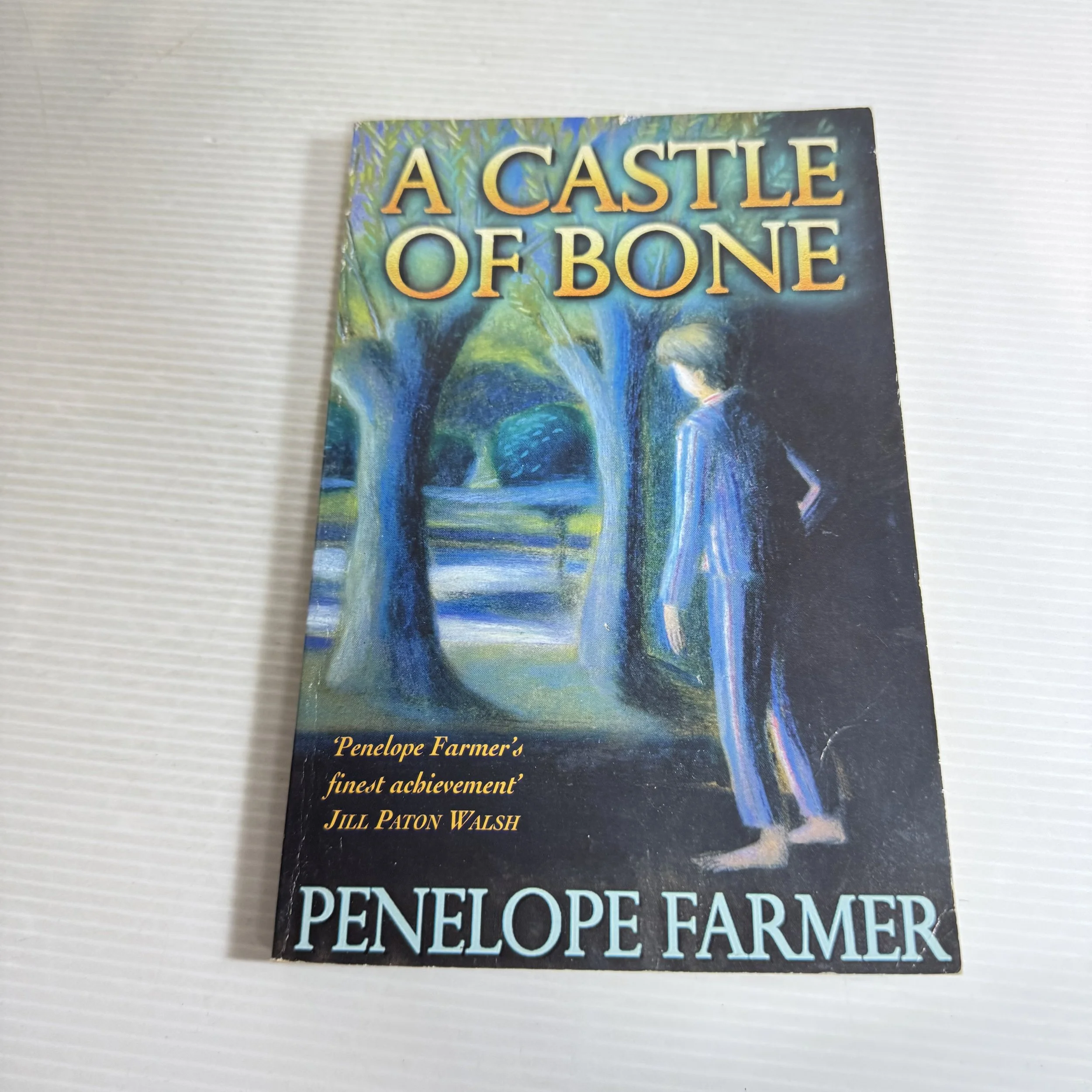 A Castle Of Bone - Penelope Farmer