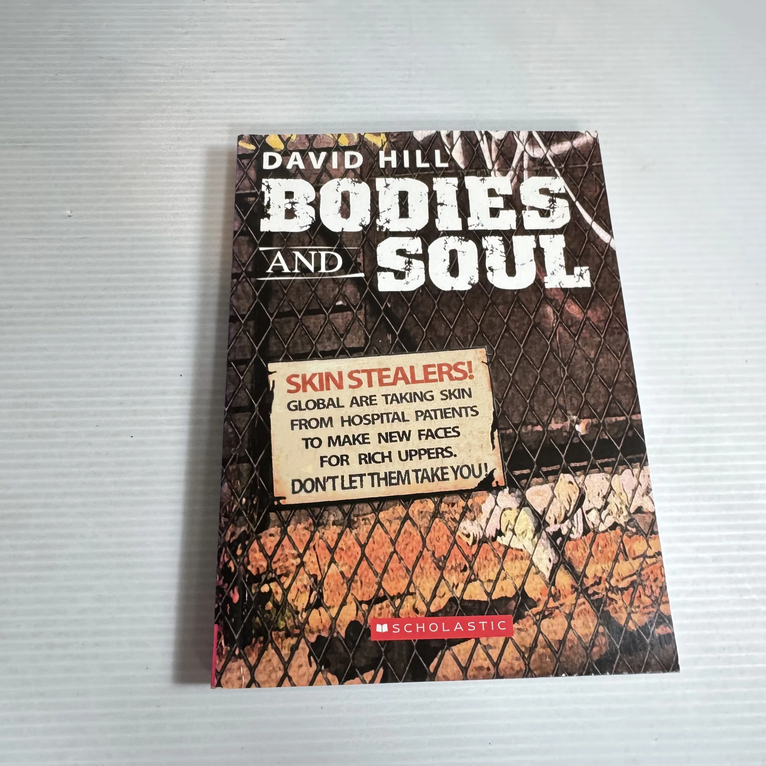 Bodies and Soul - David Hill